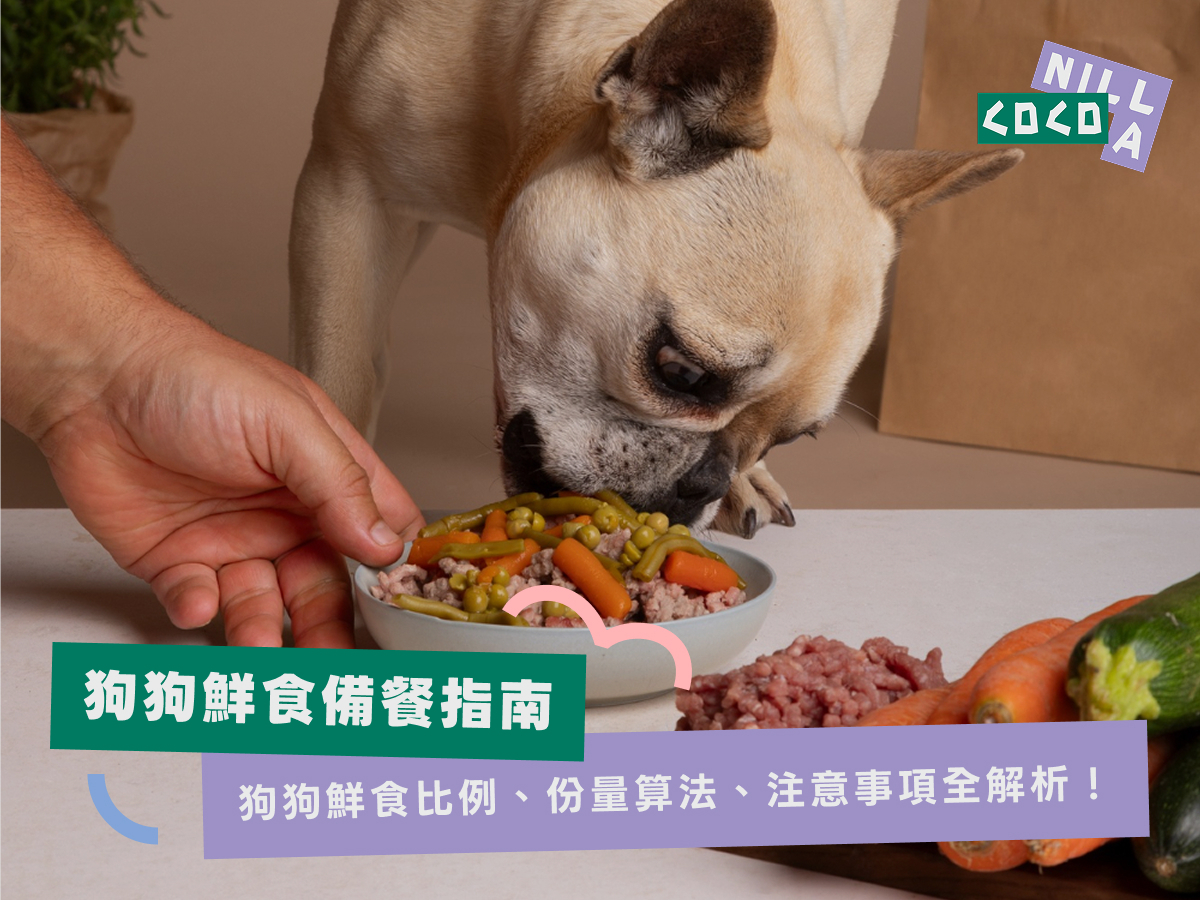 狗狗鮮食備餐指南：狗狗鮮食比例、份量算法、注意事項全解析！