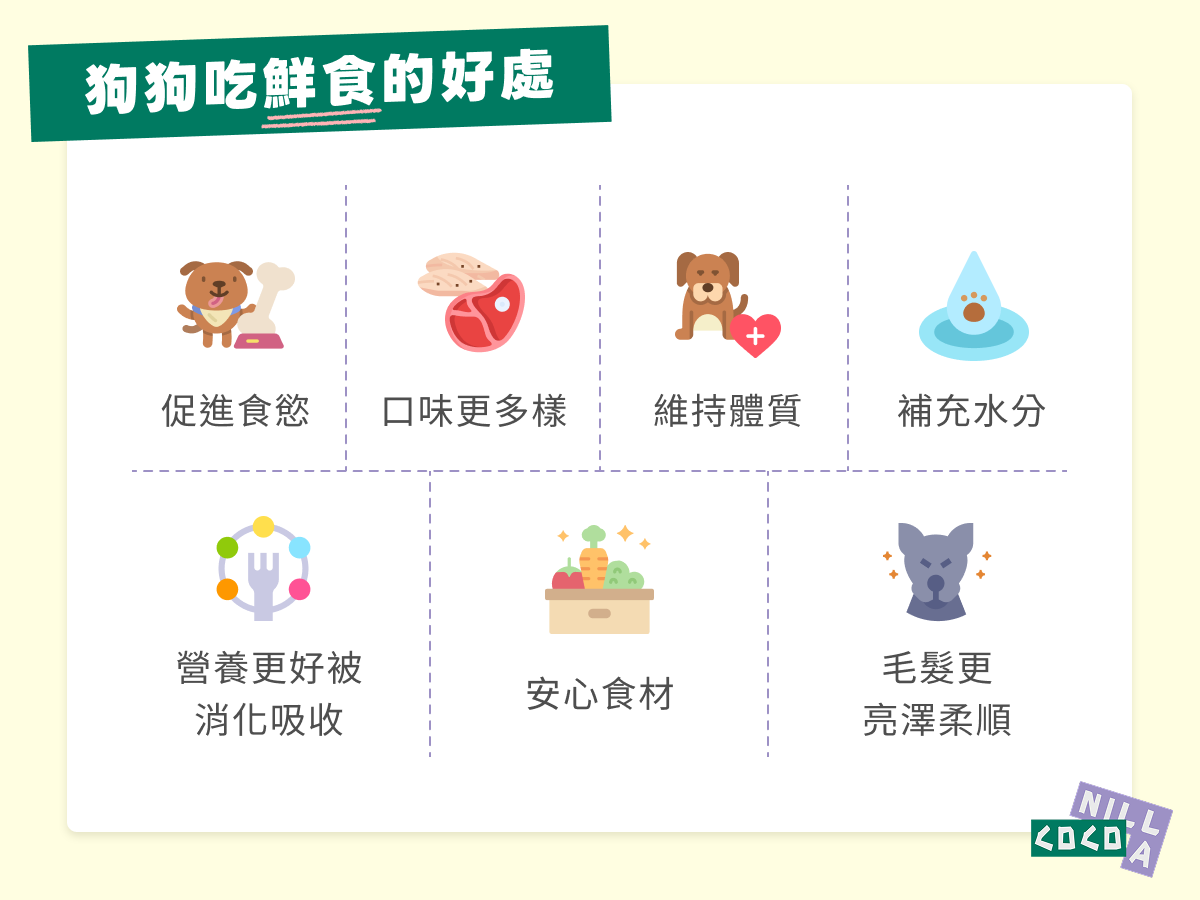 狗狗吃鮮食的好處