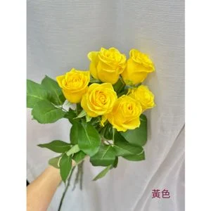 W - 20枝黃玫瑰花花束_RS55028