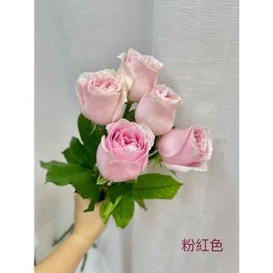 W - 20枝黃玫瑰花花束_RS55028