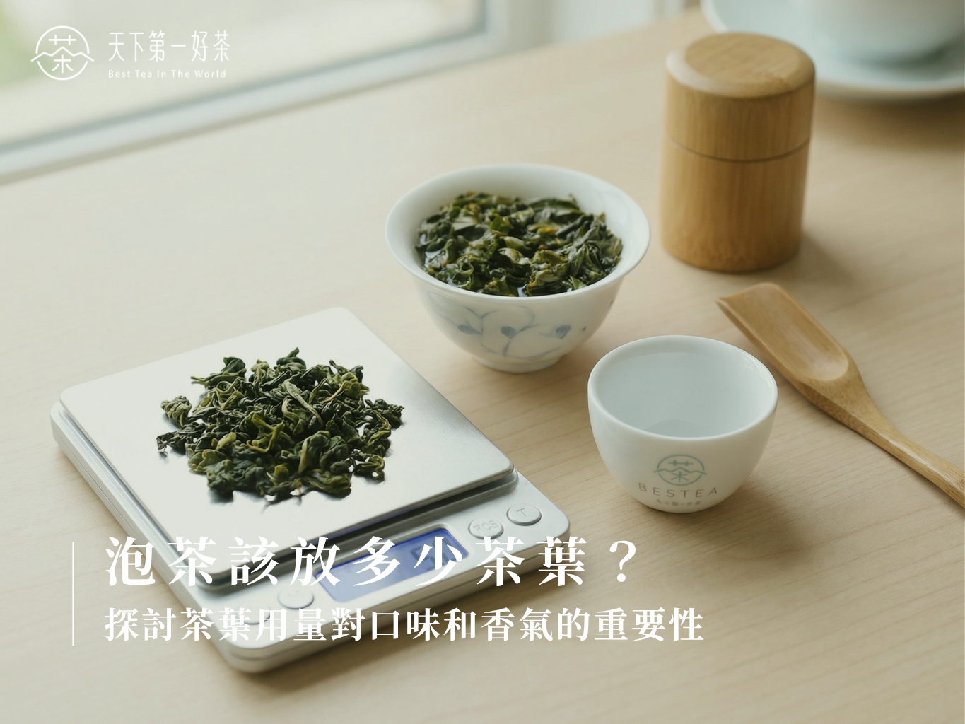 泡茶該放多少茶葉