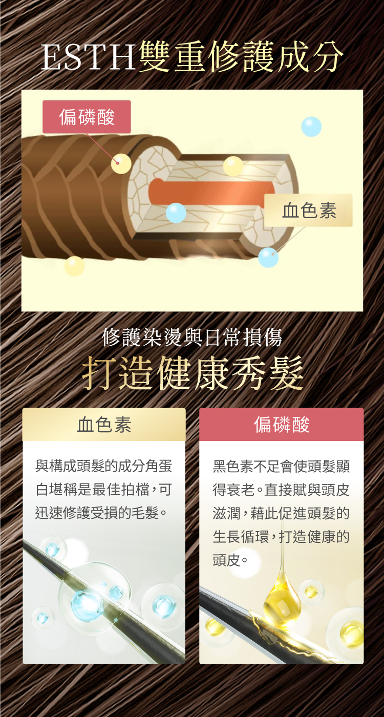 ESTH雙重修護配方,血色素與偏磷酸成分修護受損髮質並調理頭皮