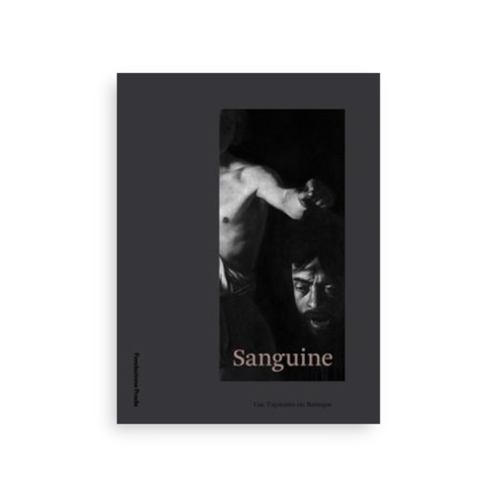 Sanguine: Luc Tuymans on Baroque