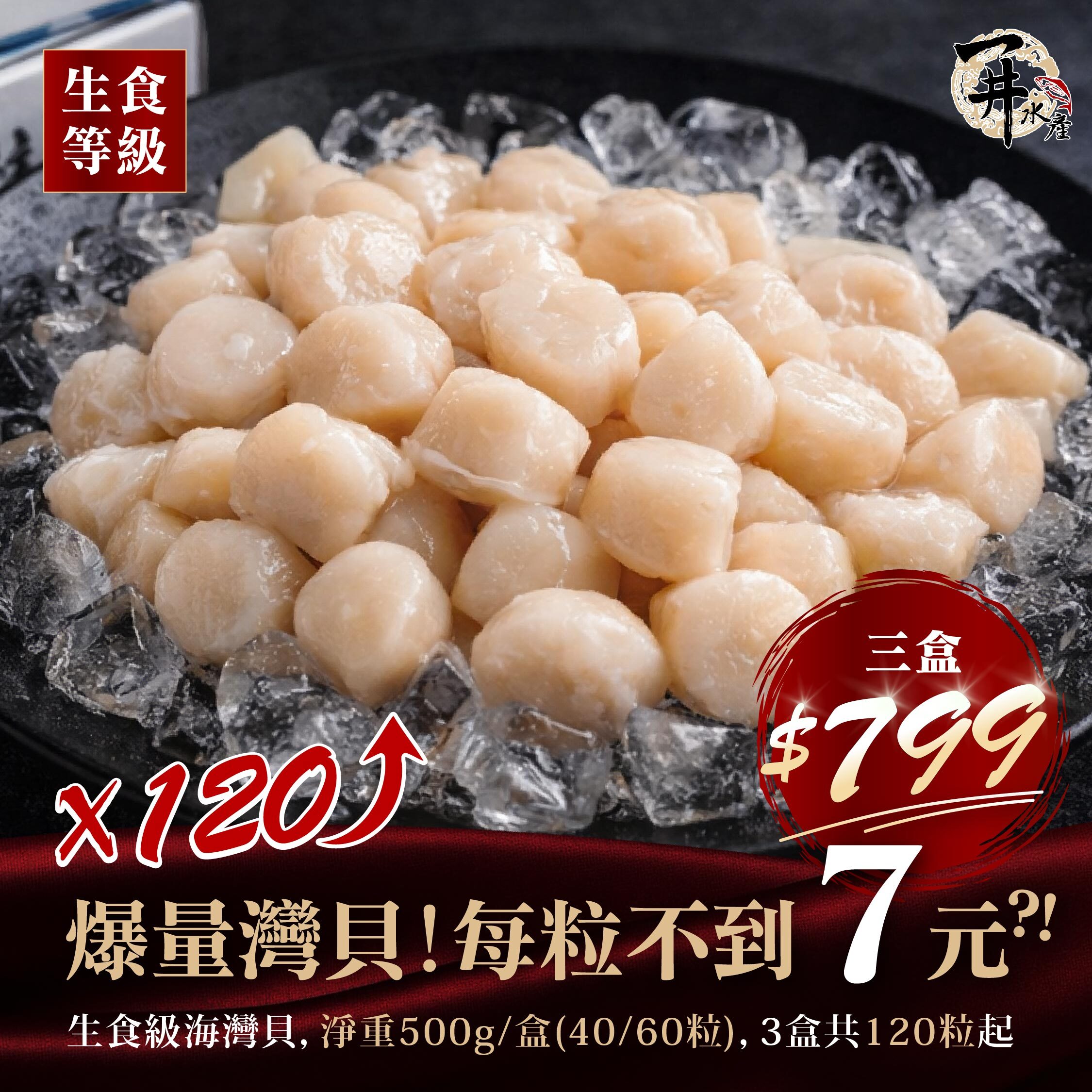 小白鯨 生食海灣干貝