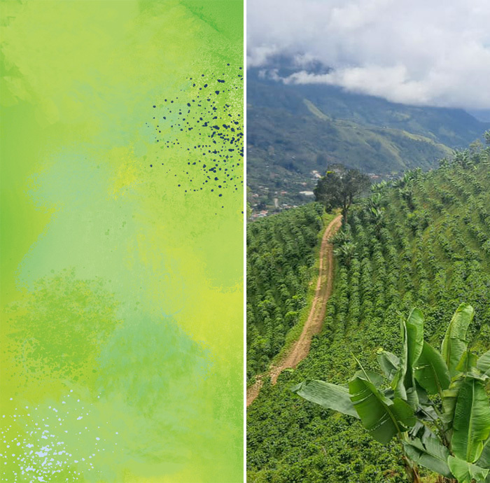 哥斯達尼加 Los Crestones