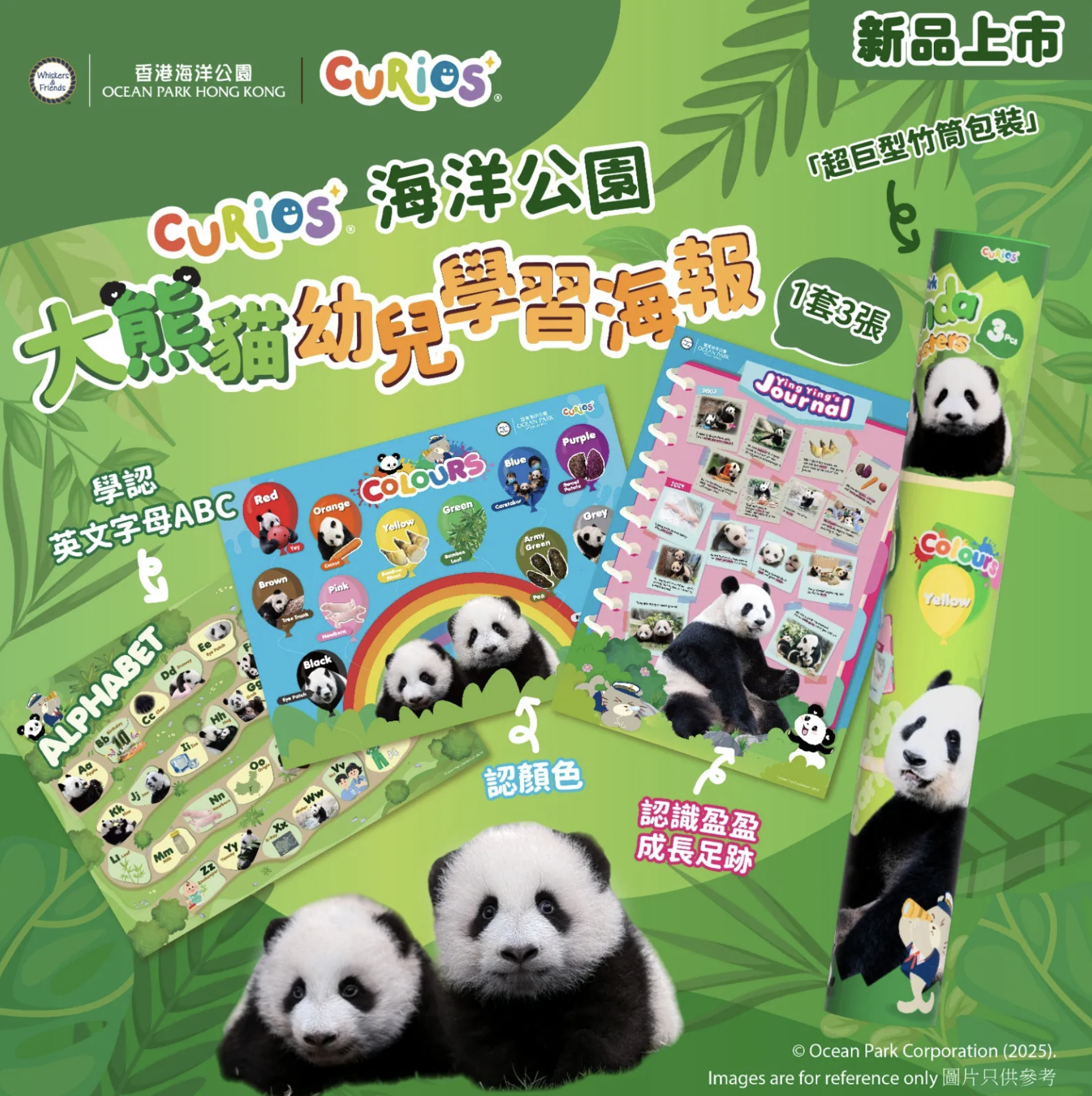 Curios®海洋公園 大熊貓幼兒學習海報 1套3張