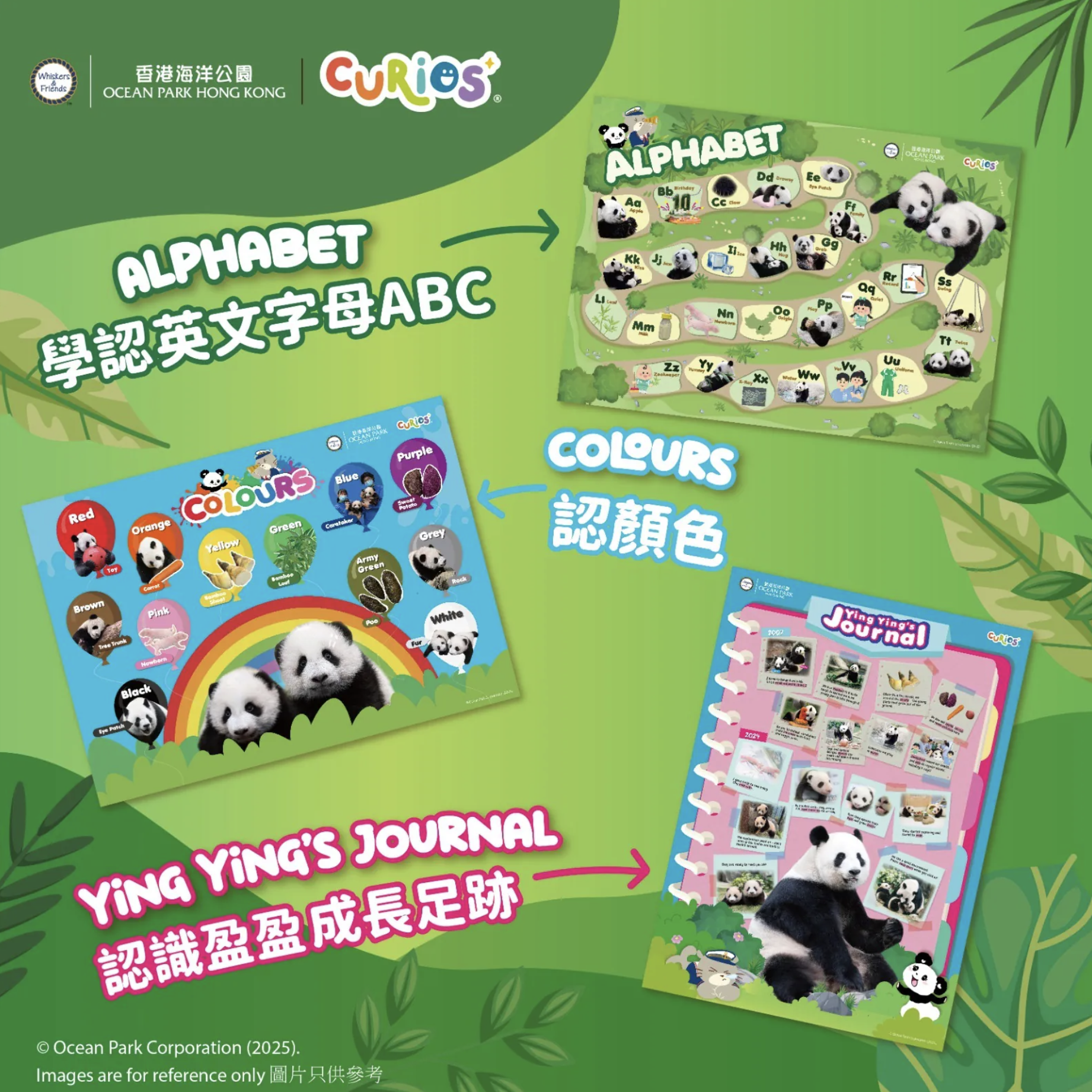 Curios®海洋公園 大熊貓幼兒學習海報 1套3張