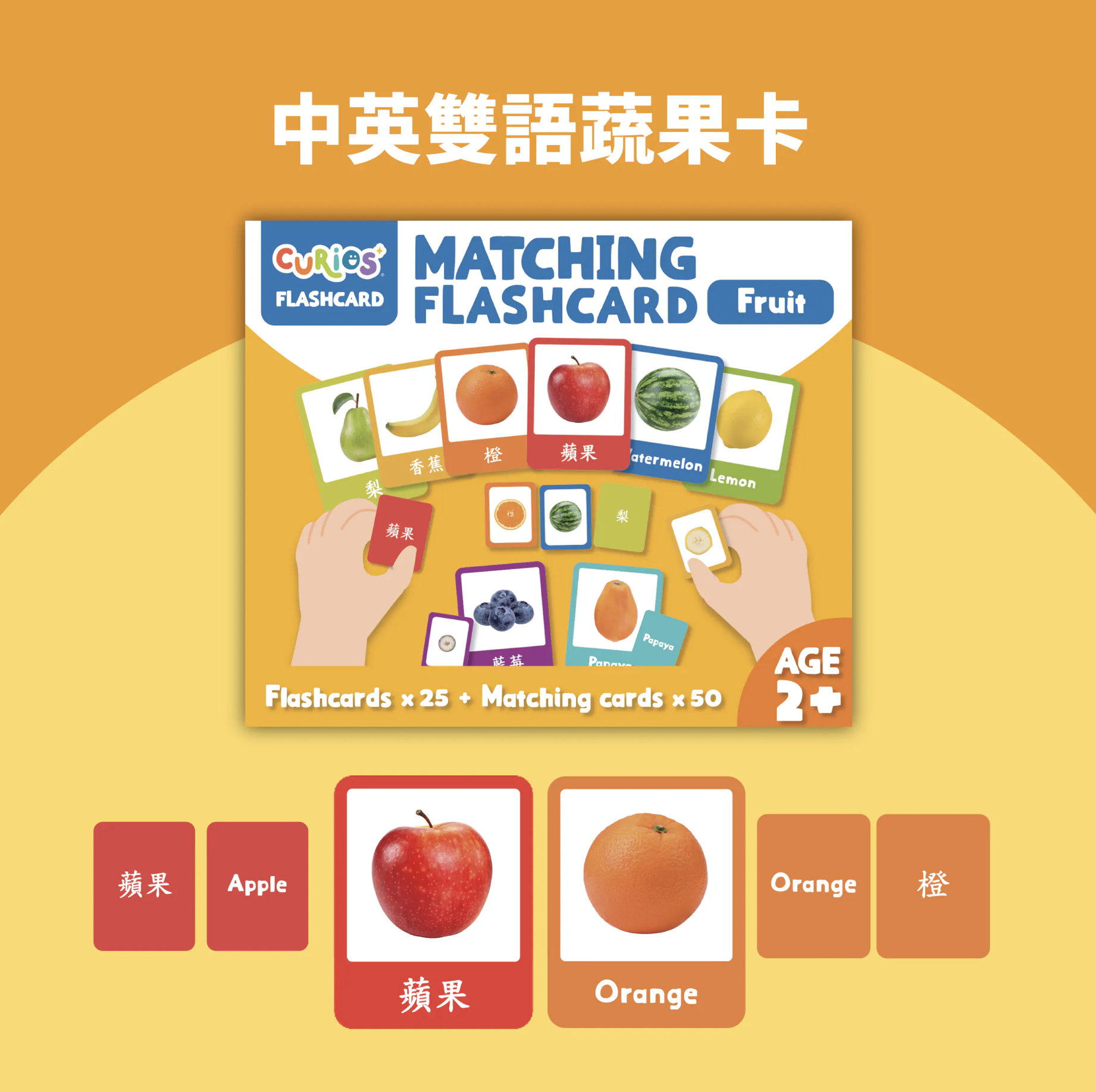 Curios®️中英文雙語水果配對卡