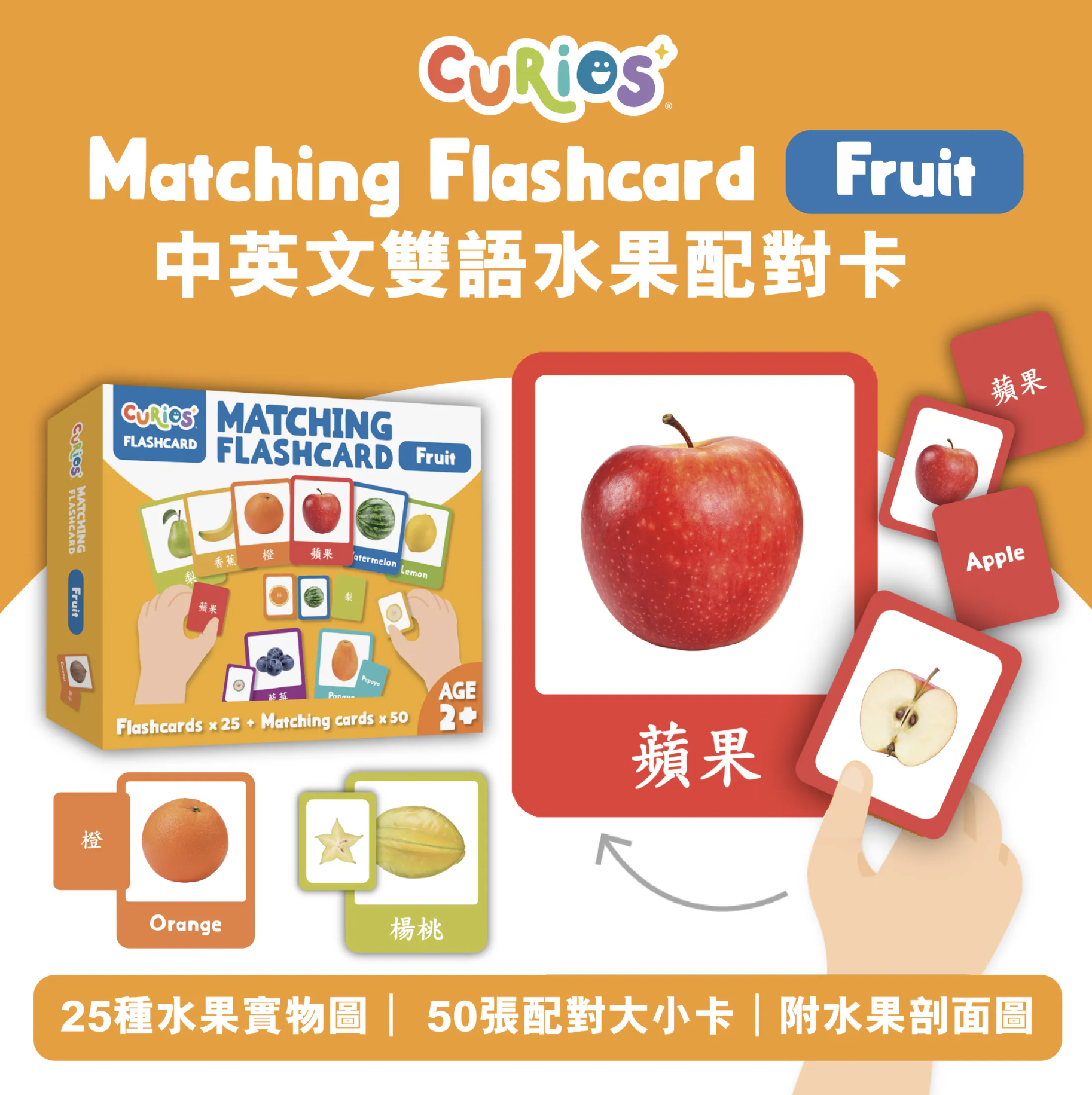 Curios®️中英文雙語水果配對卡