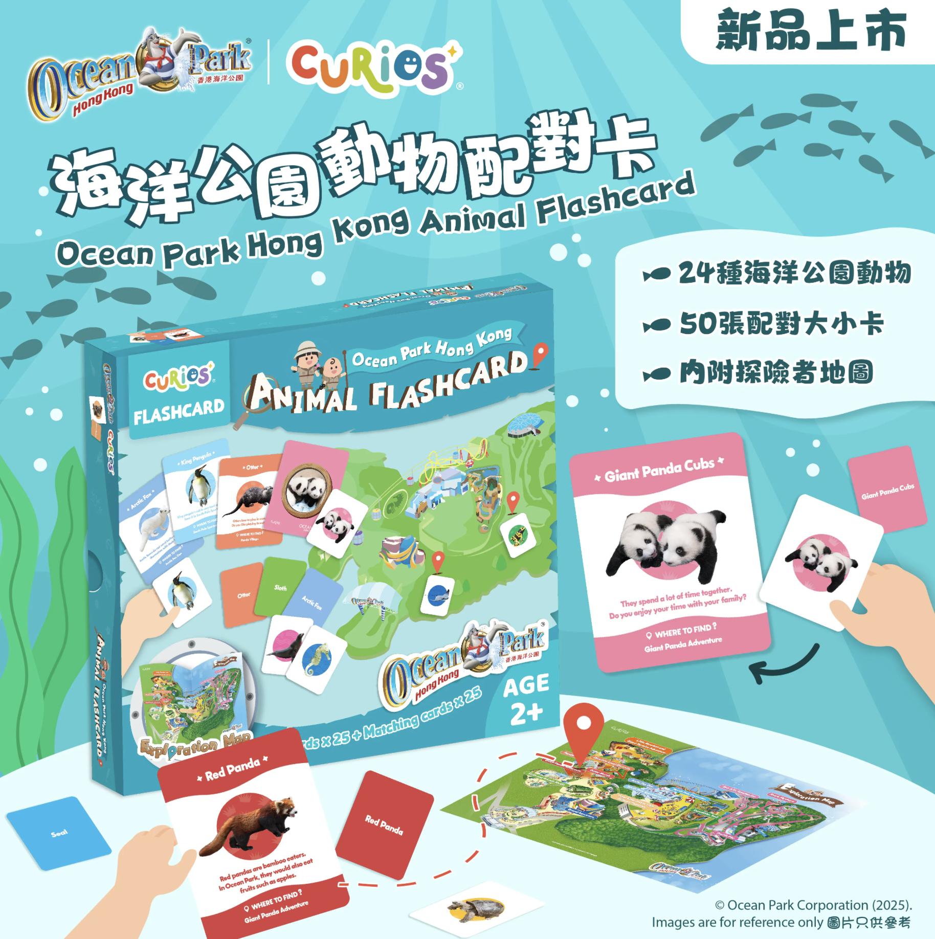 Curios®️海洋公園動物配對卡