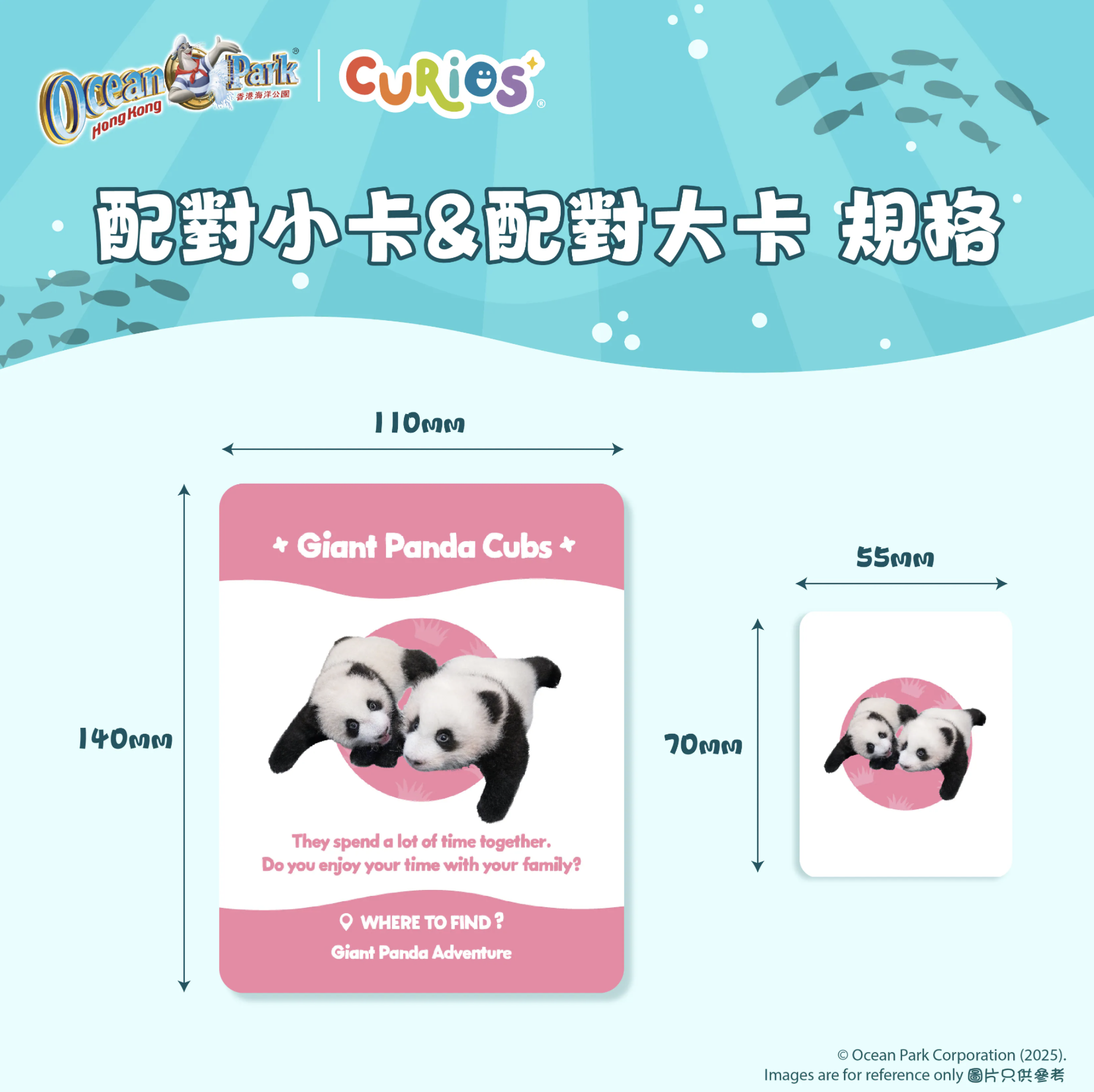 Curios®️海洋公園動物配對卡