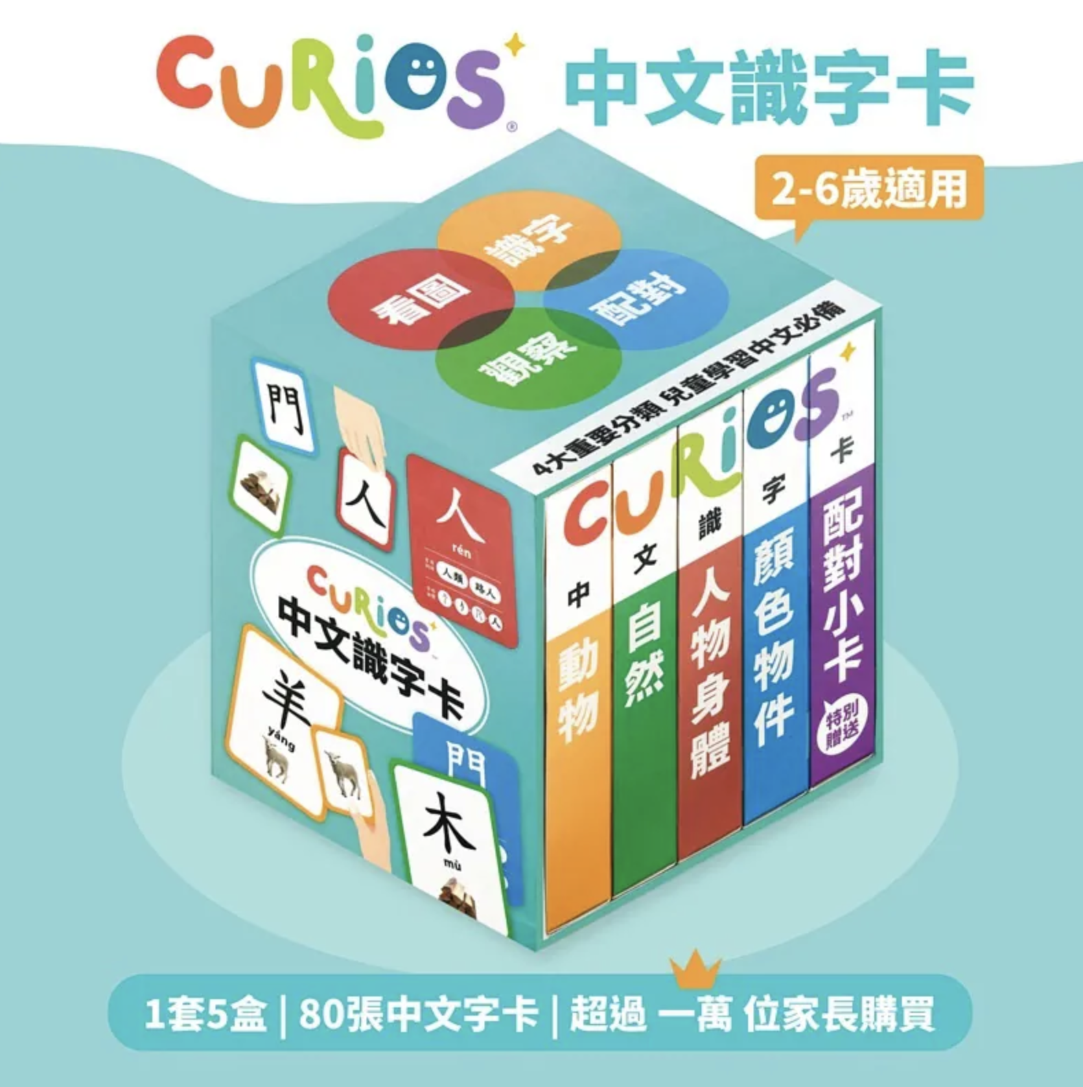 Curios®️ 中文識字卡