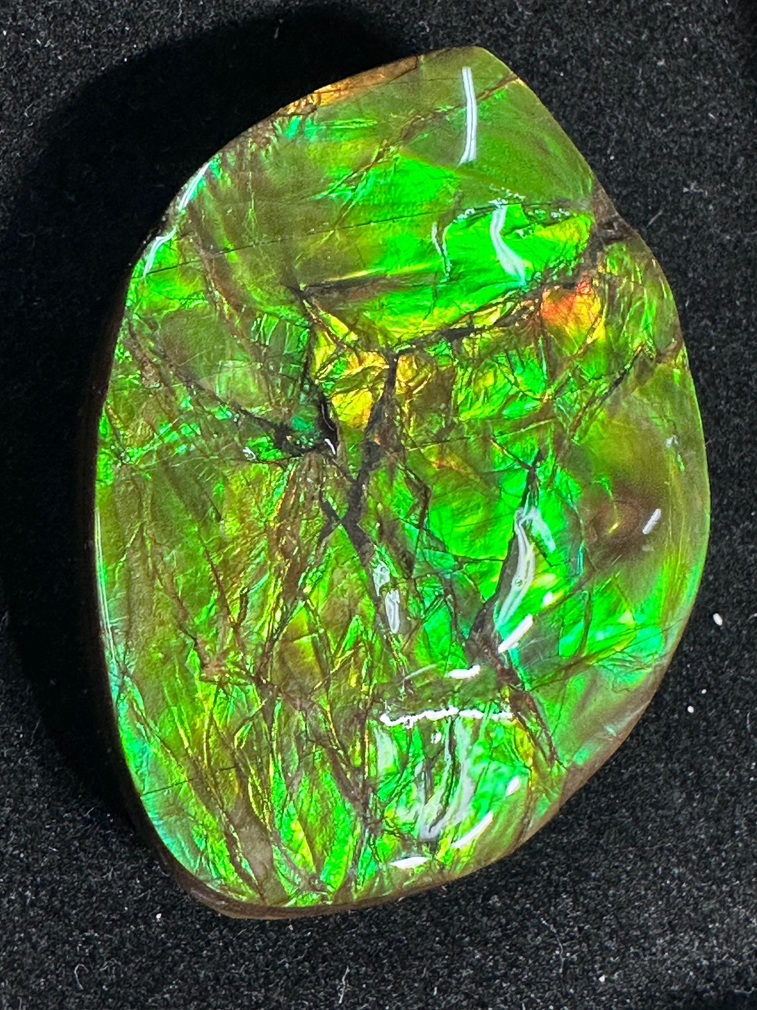 RX34 加拿大斑彩 細擺件7