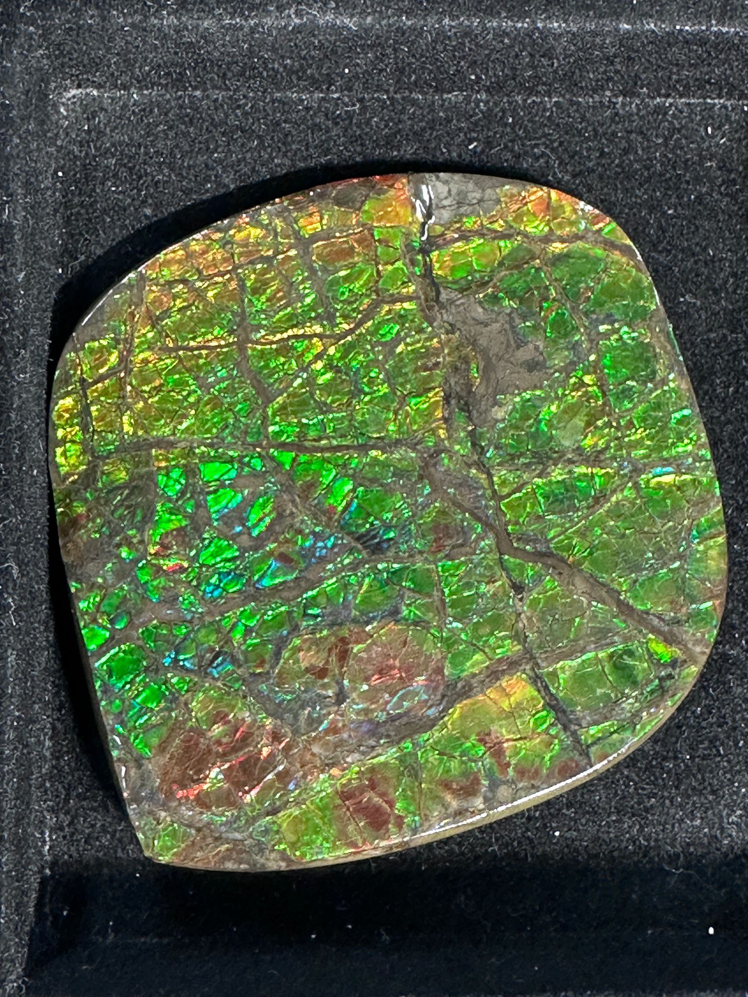 RX38 加拿大斑彩 細擺件11