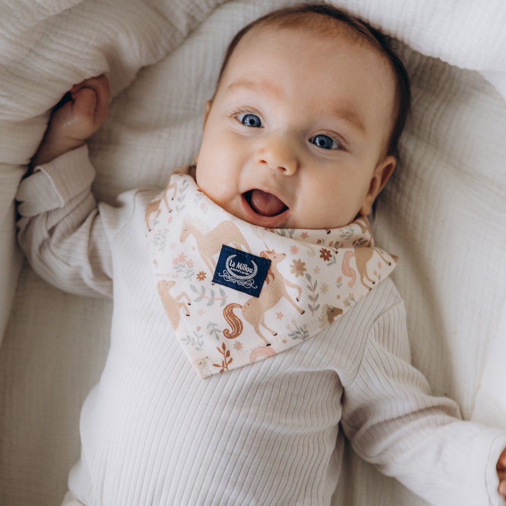 La Millou波蘭 竹纖涼感口水兜｜抗菌口水兜｜九天朵朵馬(藍底)