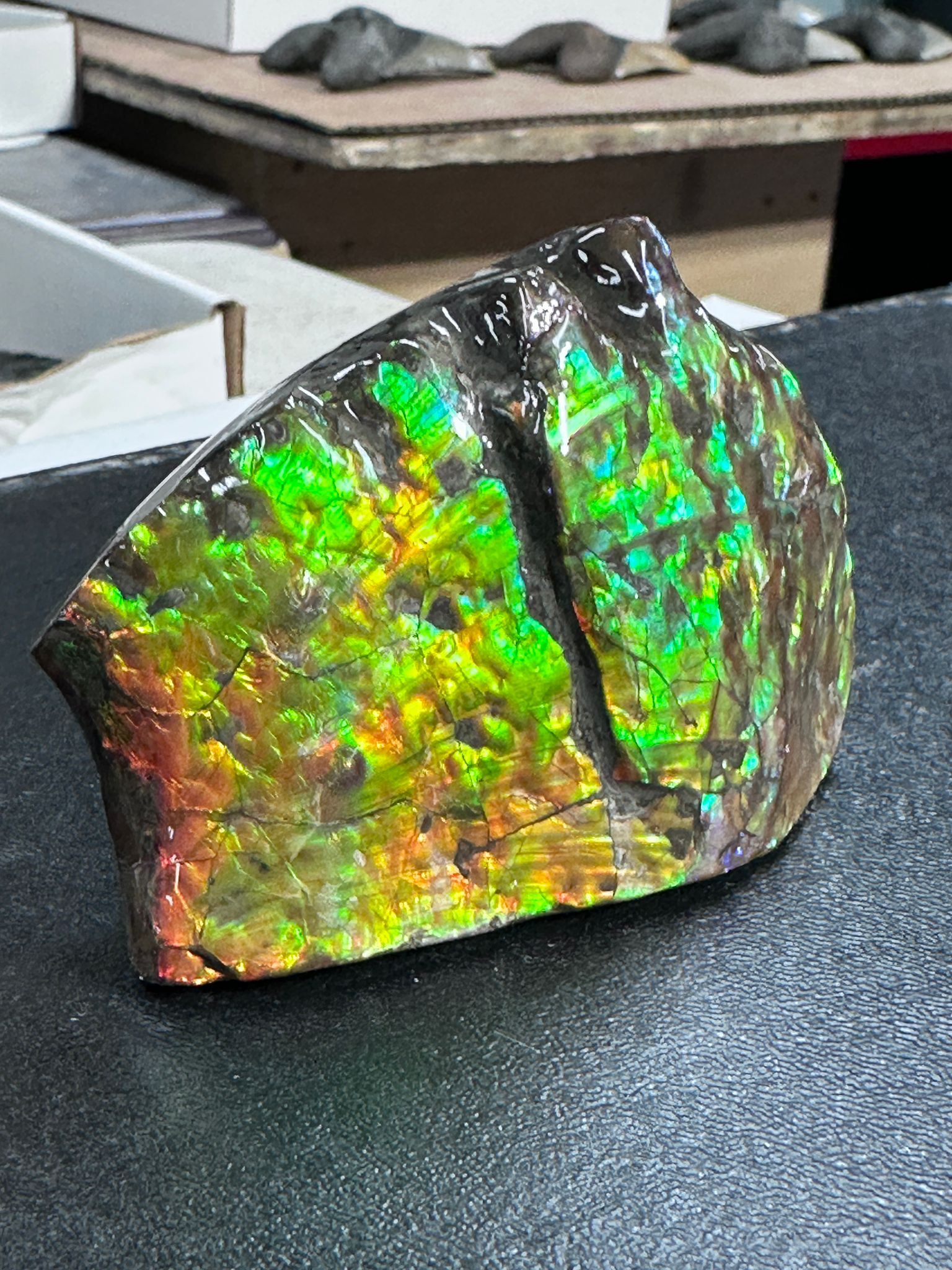 RX63 加拿大斑彩 擺件11