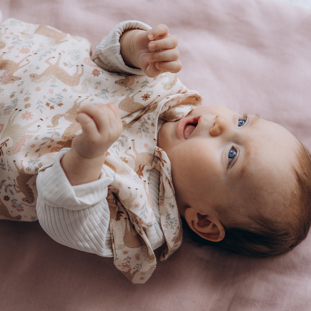 【原售價$799】La Millou波蘭 100%竹纖銀離子紗布巾玩偶奶嘴帶｜九天朵朵馬(藍底)