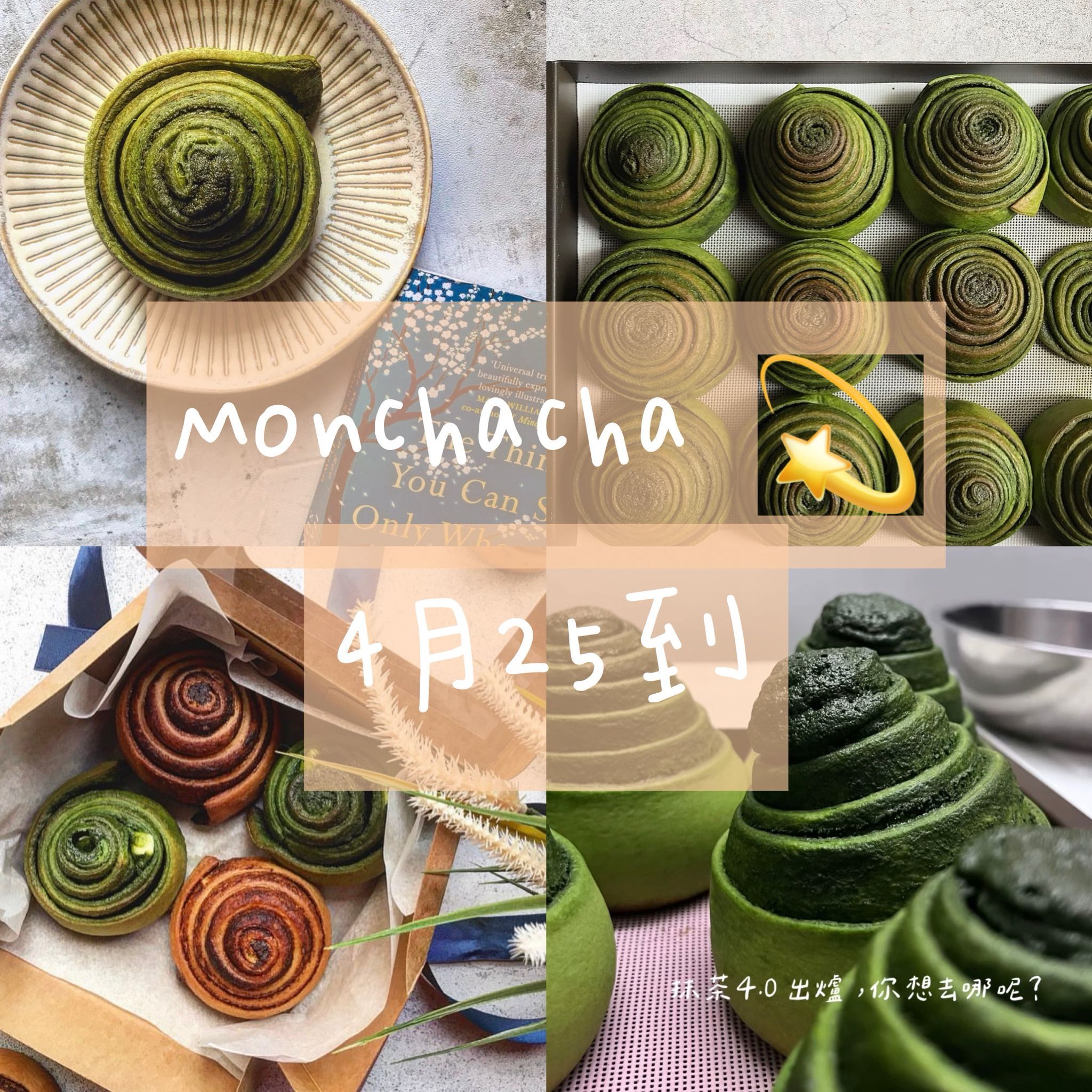 monchacha(25/Apr)