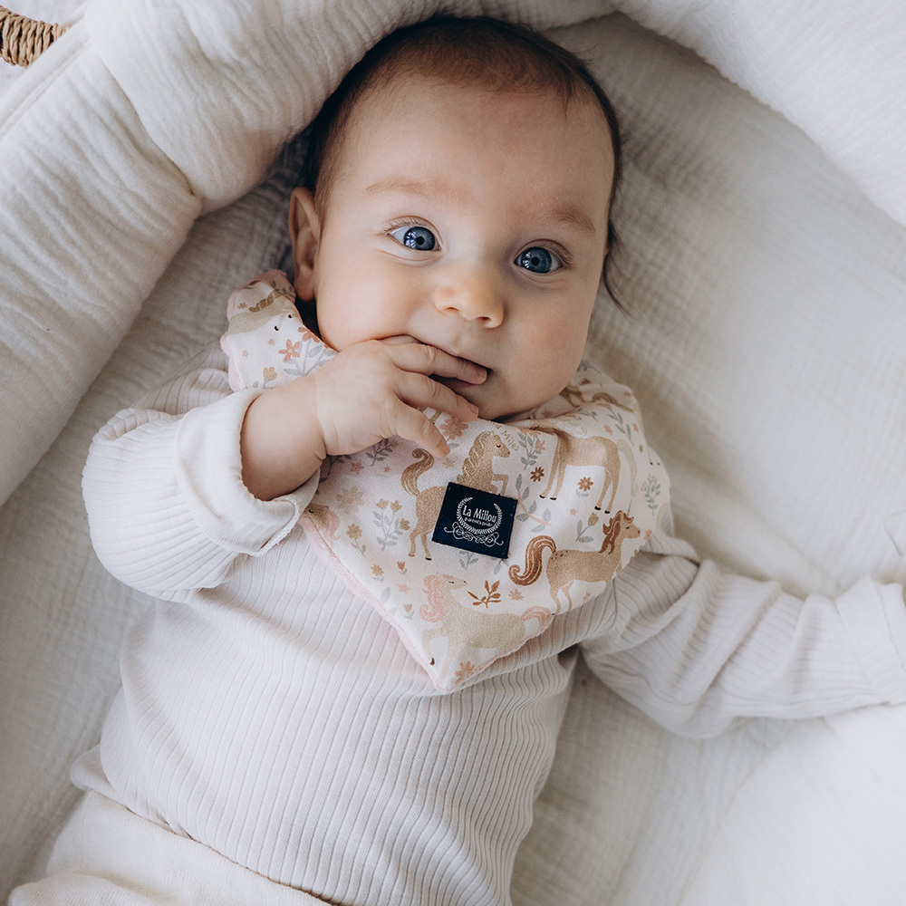 La Millou波蘭 豆豆圍兜領巾｜九天朵朵馬(粉底)｜柏林寶寶粉