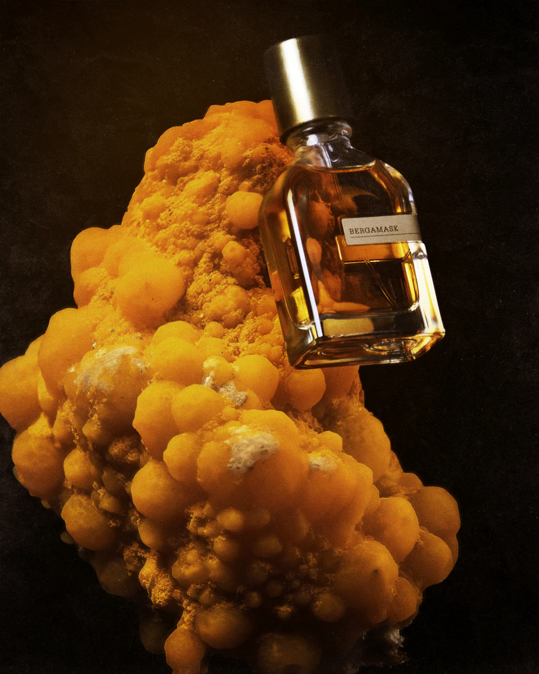 Bergamask - Orto Parisi