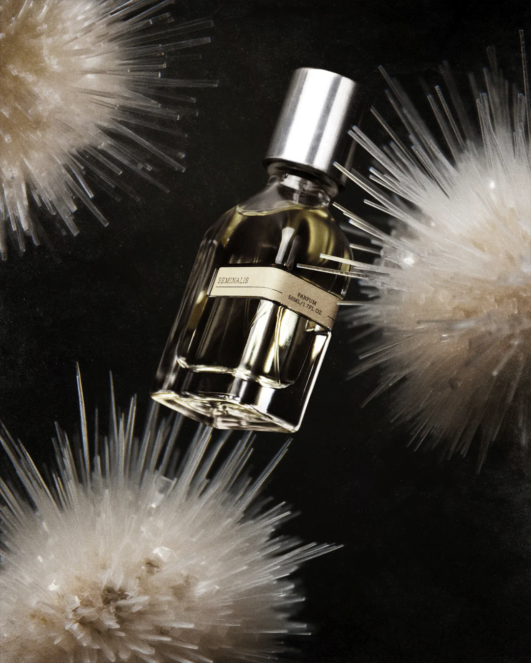 Seminals - Orto Parisi