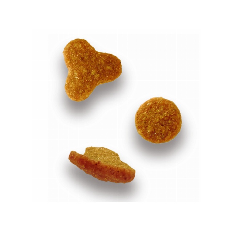 Axia miaw miaw 香脆小粒 幼貓 混合魚味乾糧580g