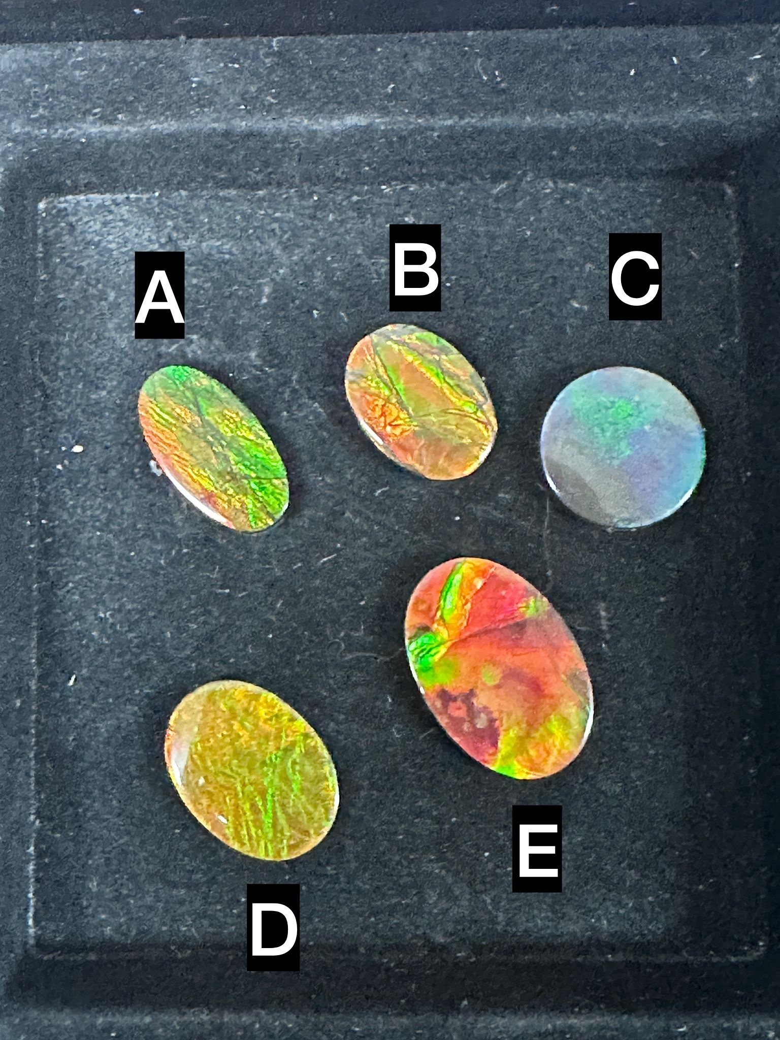 RX73 加拿大斑彩 隨身細件1