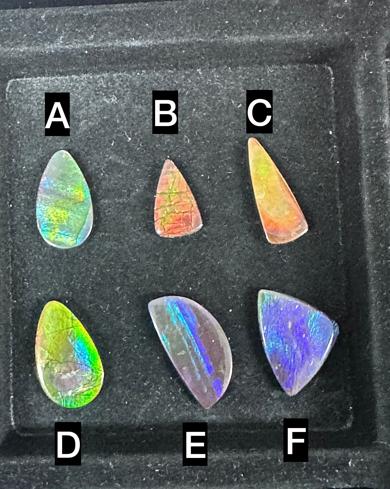 RX74 加拿大斑彩 隨身細件2