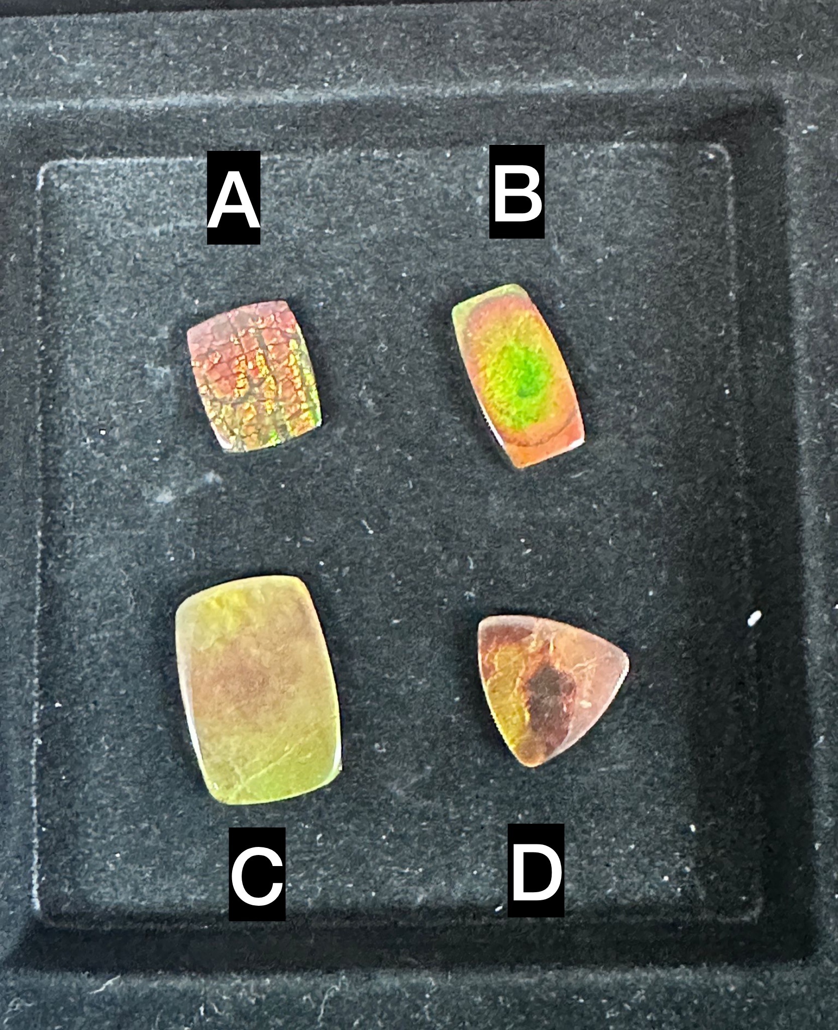 RX75 加拿大斑彩 隨身細件3