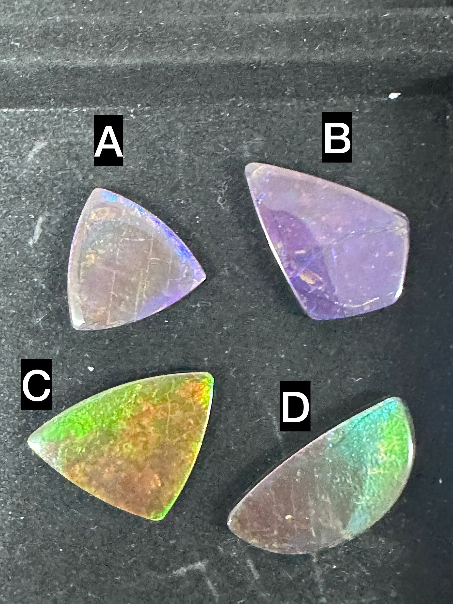 RX76 加拿大斑彩 隨身細件4