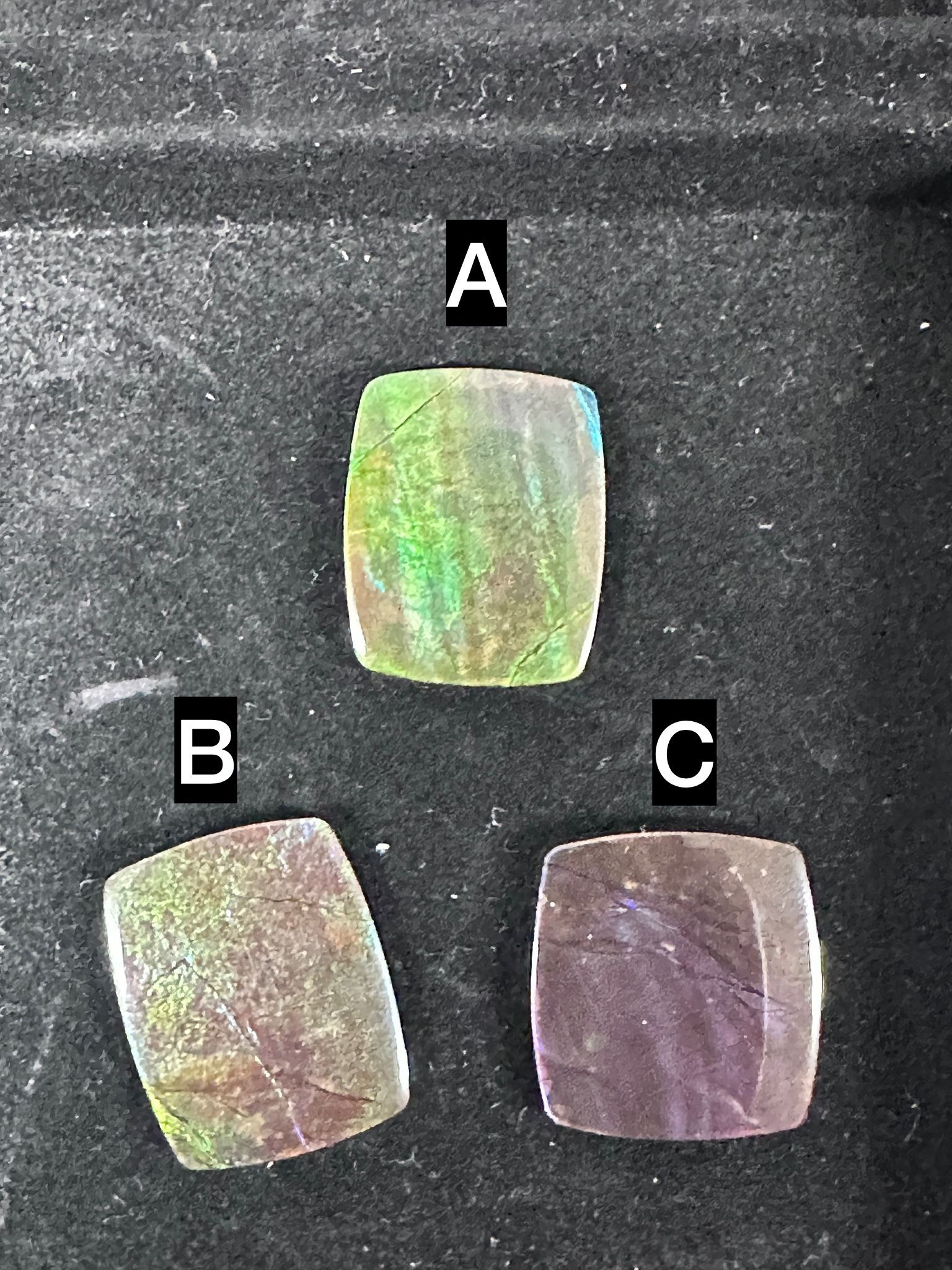 RX77 加拿大斑彩 隨身細件5