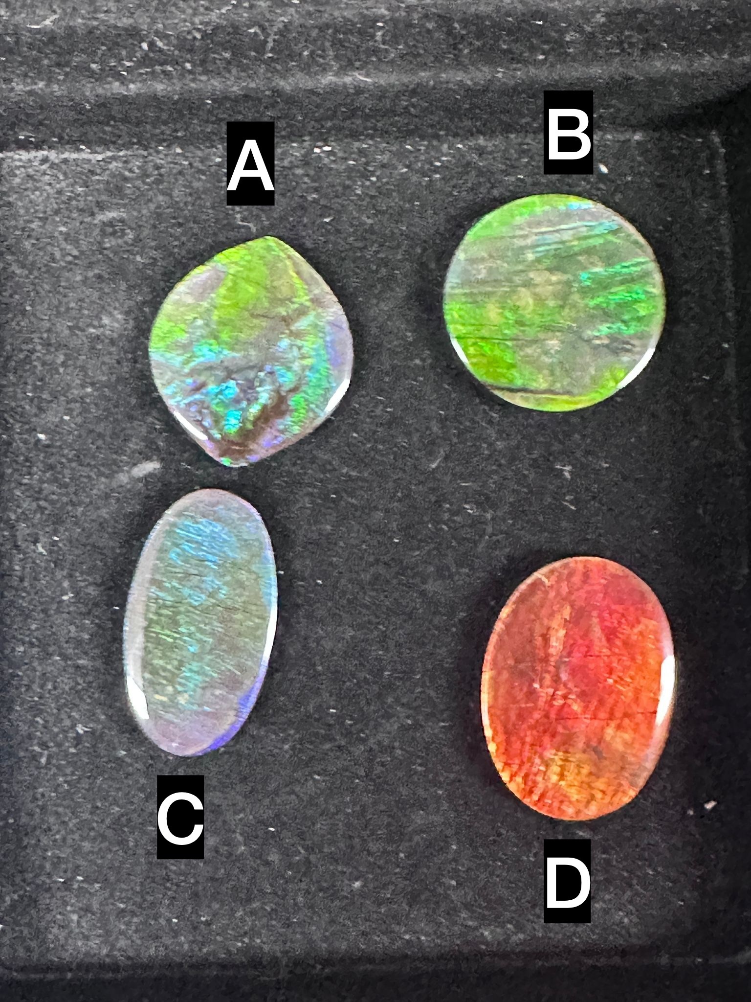RX78 加拿大斑彩 隨身細件6