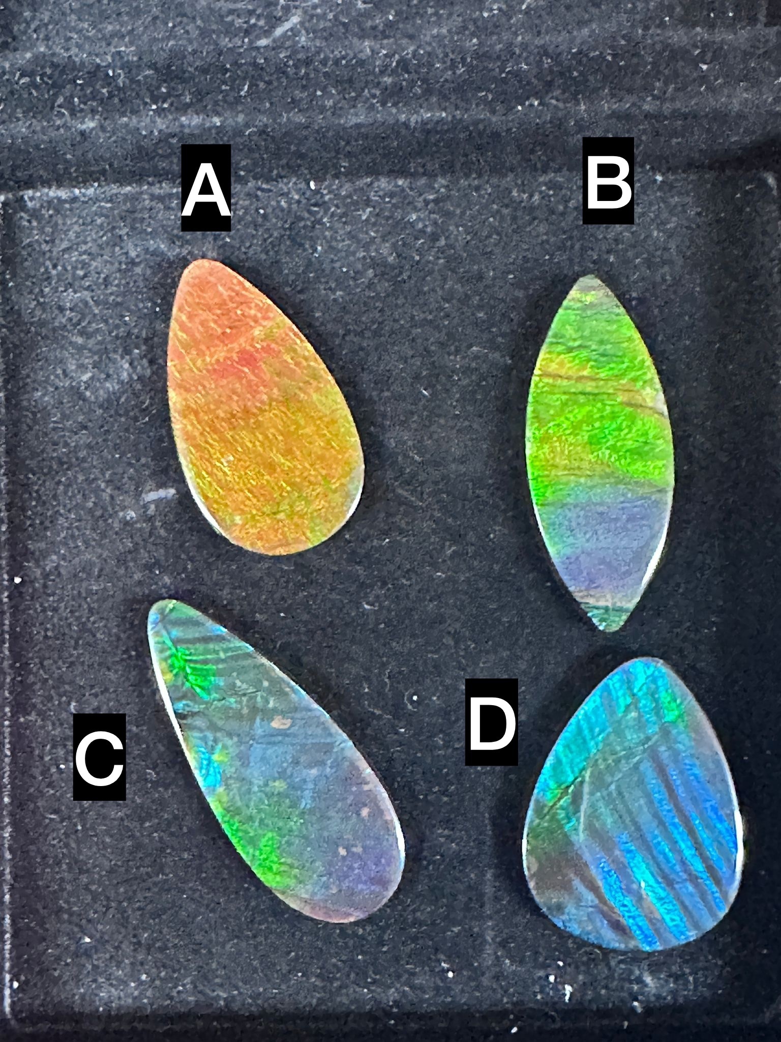 RX79 加拿大斑彩 隨身細件7