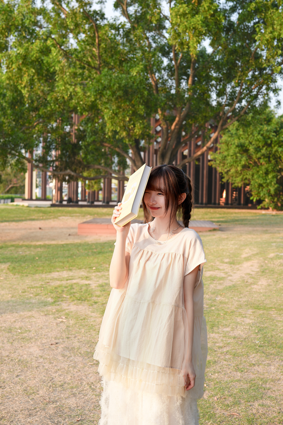 小飛袖紗紗Ruffle上衣 · 3色入