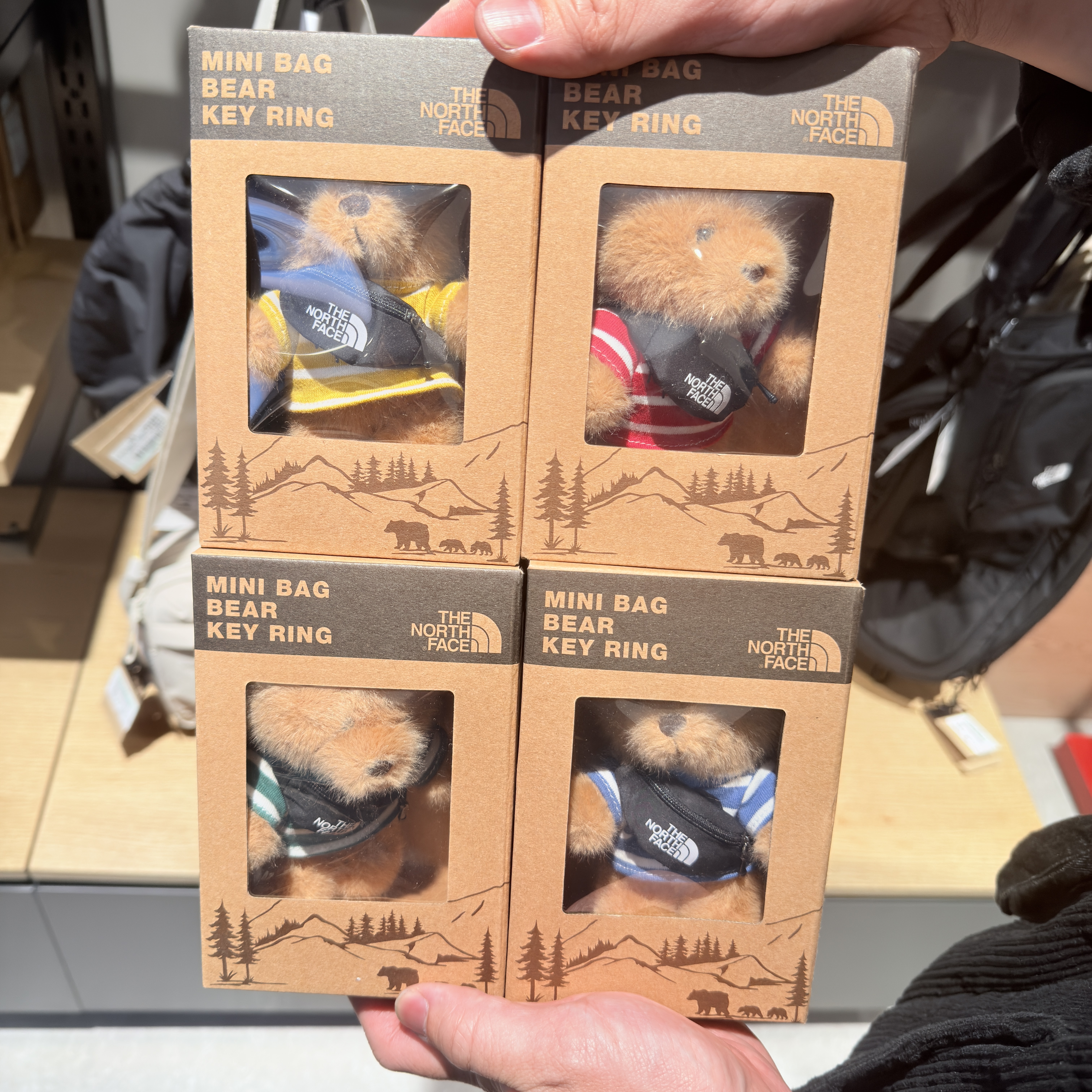 【韓國🇰🇷限時連線 收單至4/2 中午12:00準時收單 ✈️ 】The North Face 北臉 條紋腰包 小熊吊飾 鑰匙圈 NA5AS08