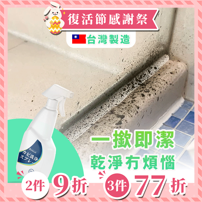 《台灣製造》霉問題 泡沫去霉劑  (今天出隔日到)