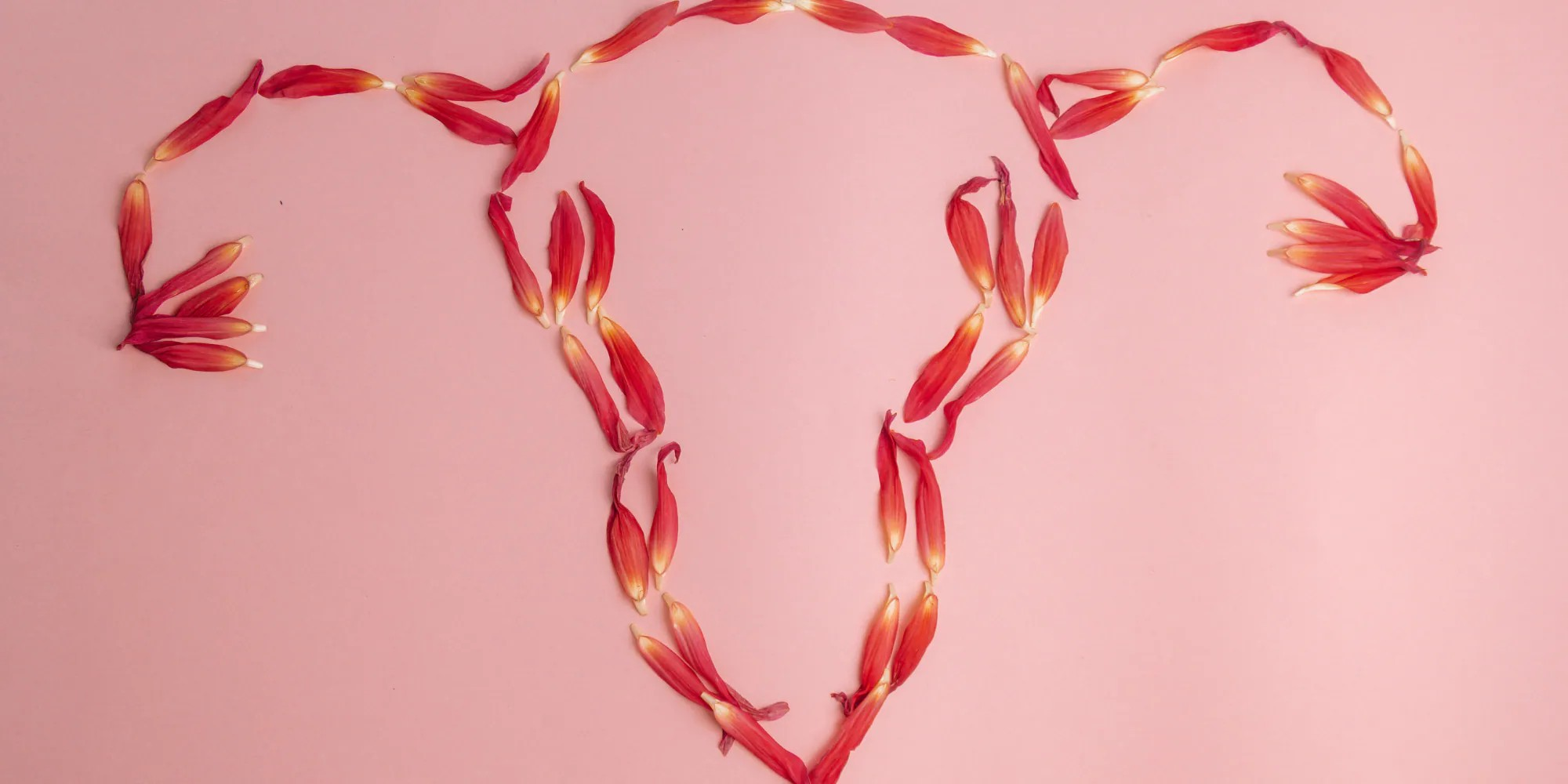 懷孕荷爾蒙指數系列：E2、P4、FSH、LH的意義與正常值