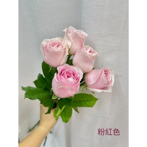 W - 5枝玫瑰花花束_RS33027