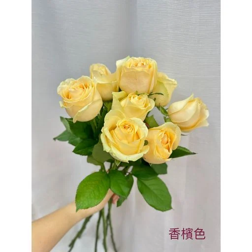 W - 5枝玫瑰花花束_RS33027