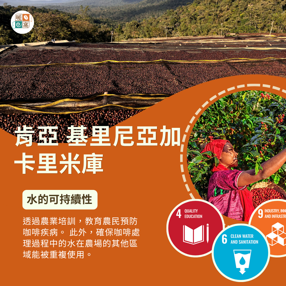 淺中焙｜肯亞 AA TOP 基里尼亞加 水洗處理法 濾掛耳咖啡包｜暖窩咖啡