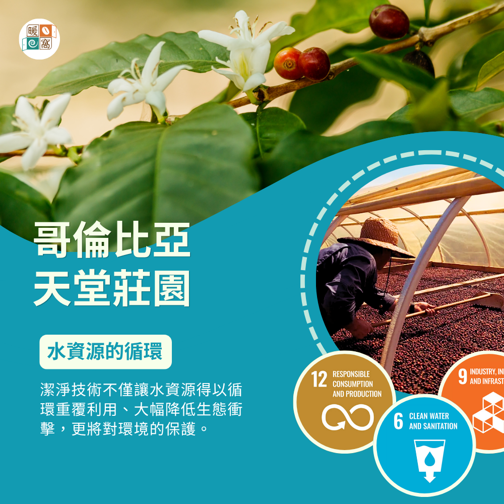 哥倫比亞 天堂莊園 咖啡的永續實踐