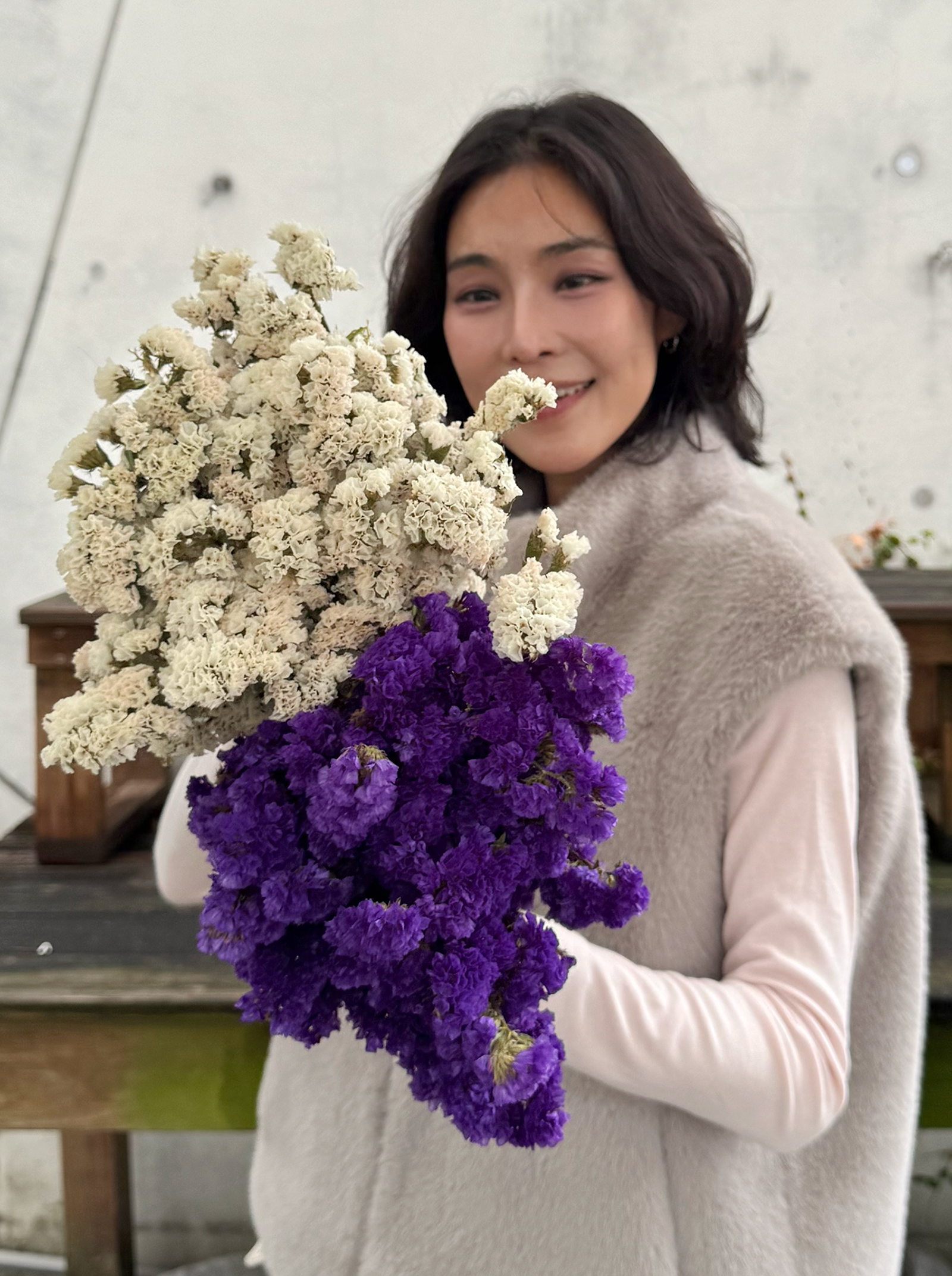 星辰花（兩色）