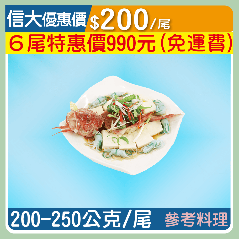 信大嚴選海鮮系列-鮮凍紅條魚/尾