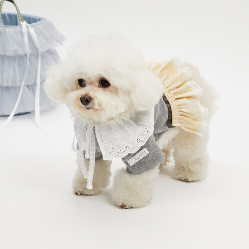 Louisdog 灰色羅曼史洋裝