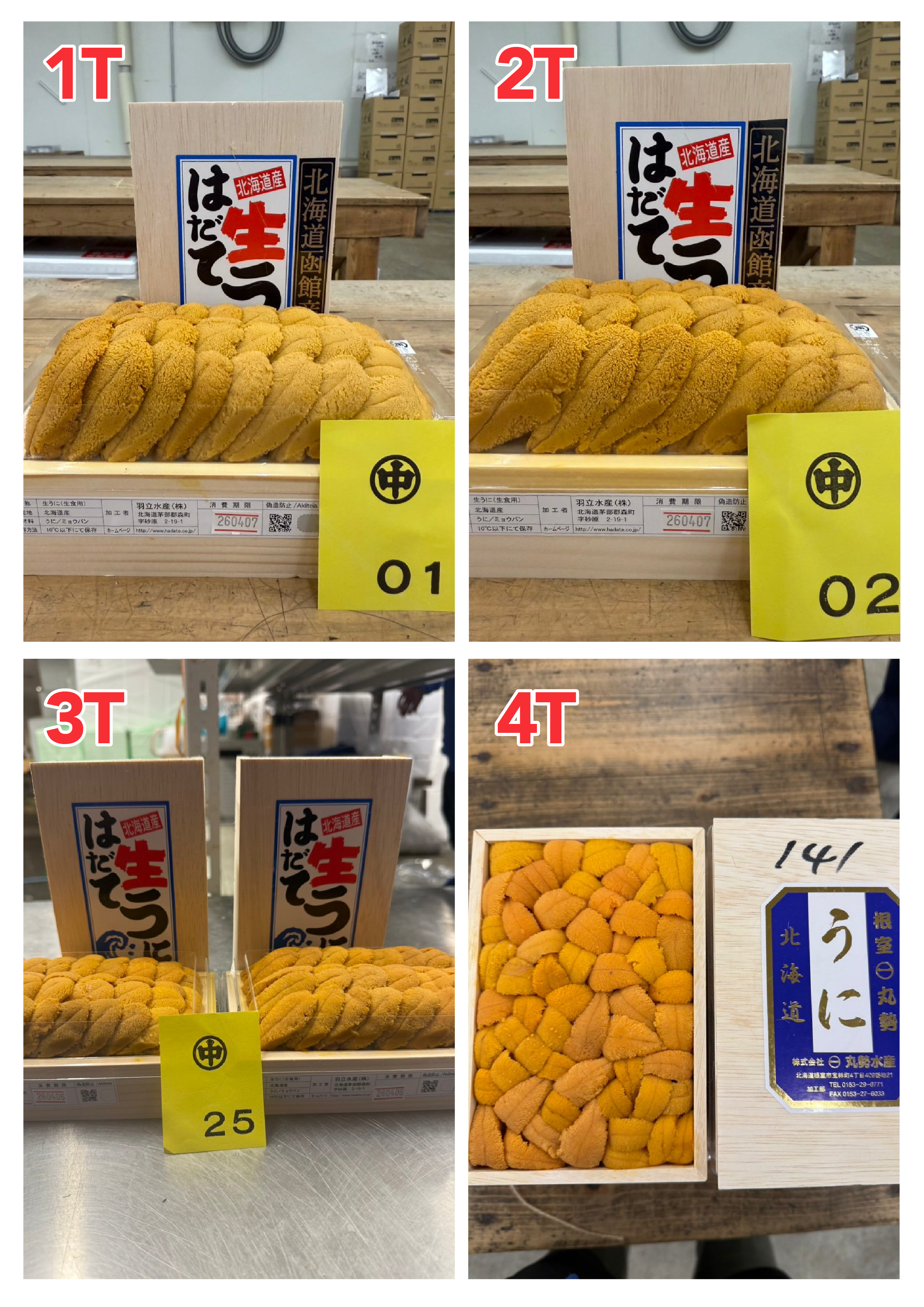 【指定海膽推薦】每天更新 (限即日落單, 翌日送)