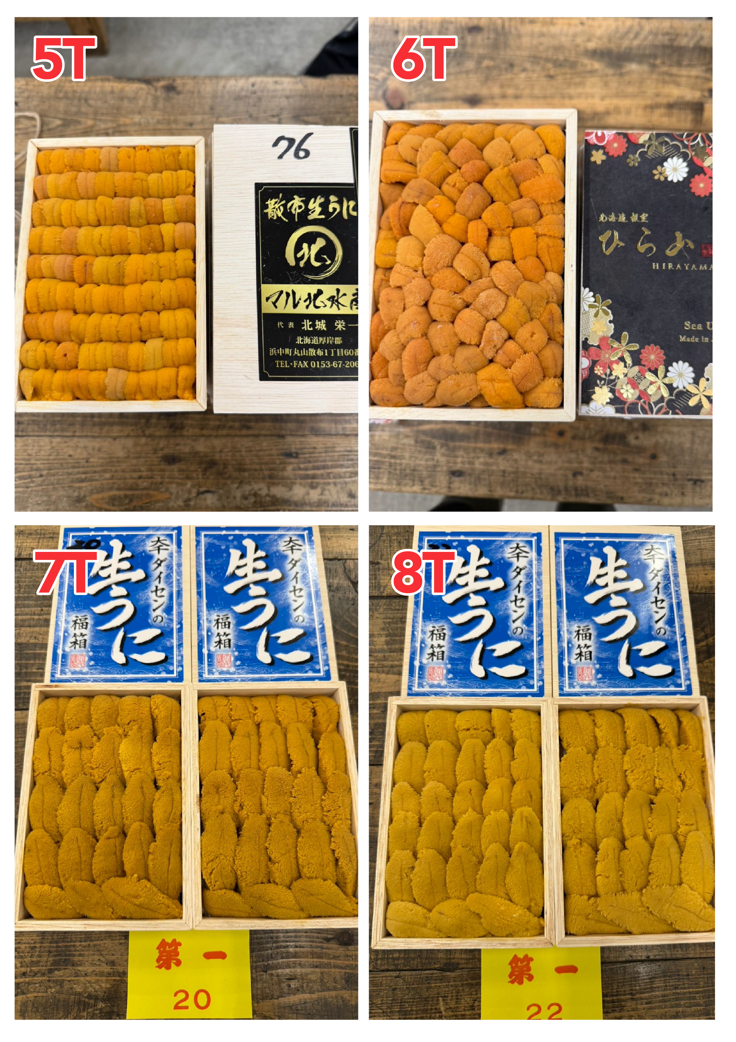 【指定海膽推薦】每天更新 (限即日落單, 翌日送)