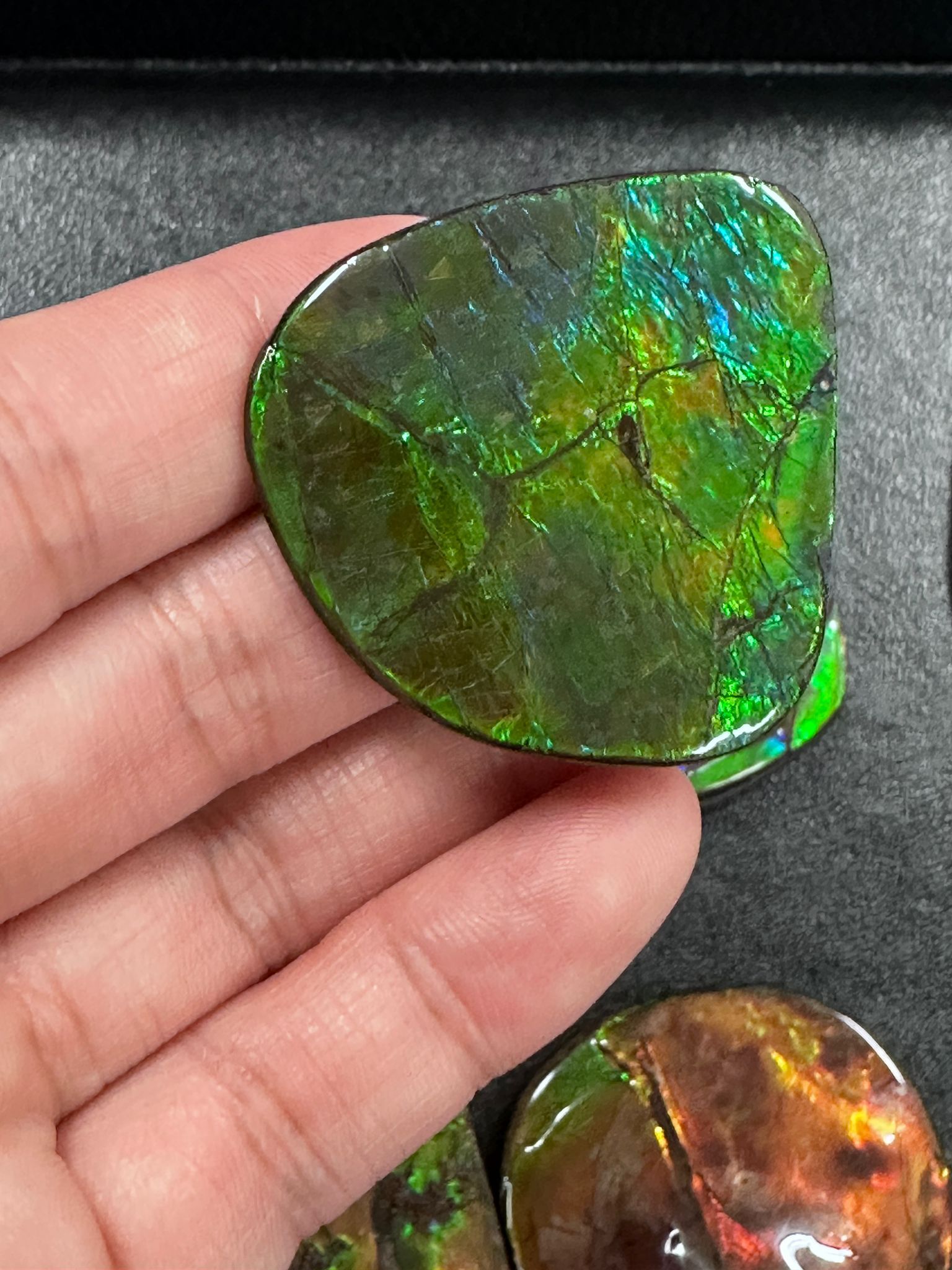 RX97 加拿大斑彩 細擺件36