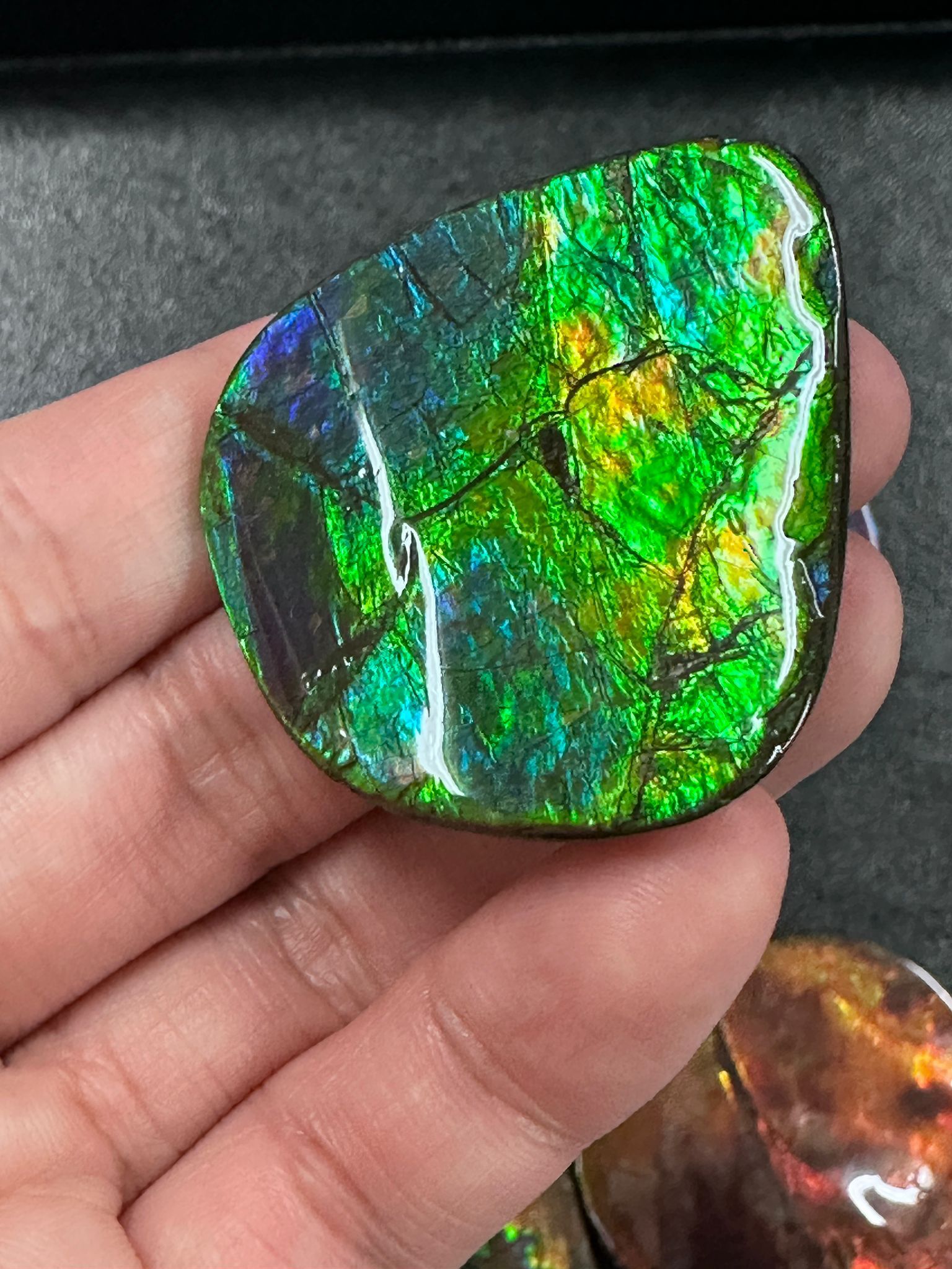 RX97 加拿大斑彩 細擺件36