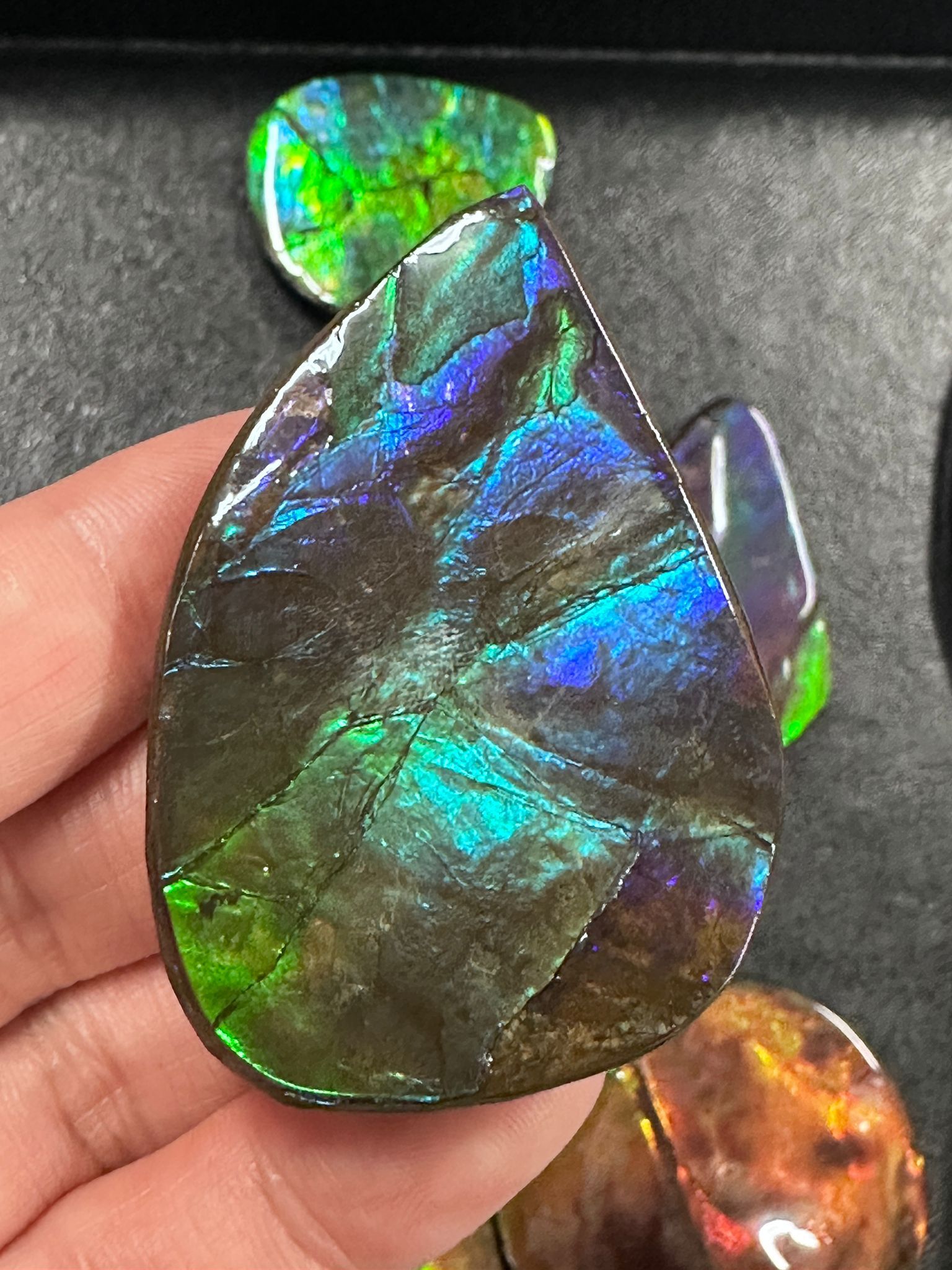 RX98 加拿大斑彩 細擺件37