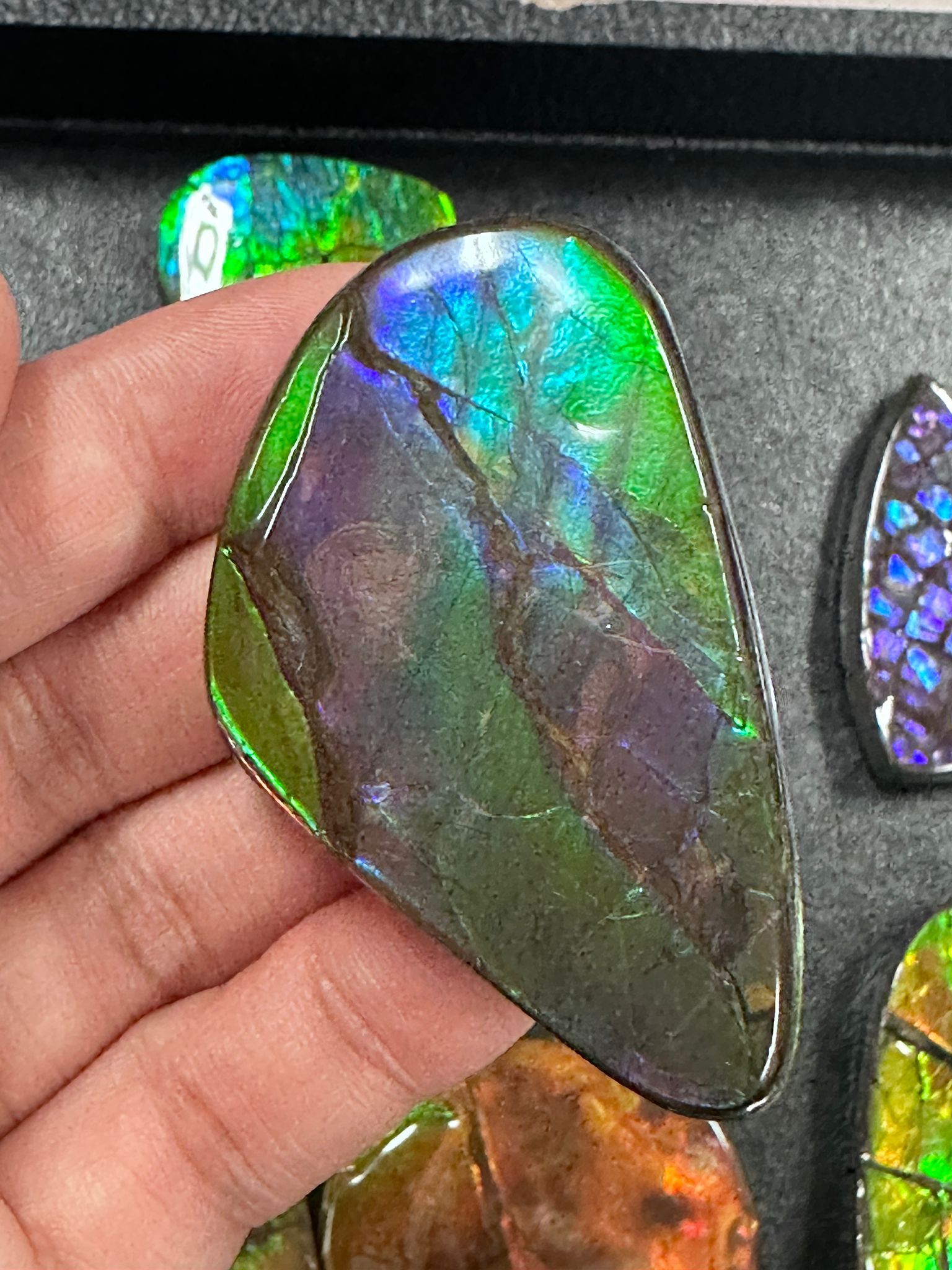 RX99 加拿大斑彩 細擺件38